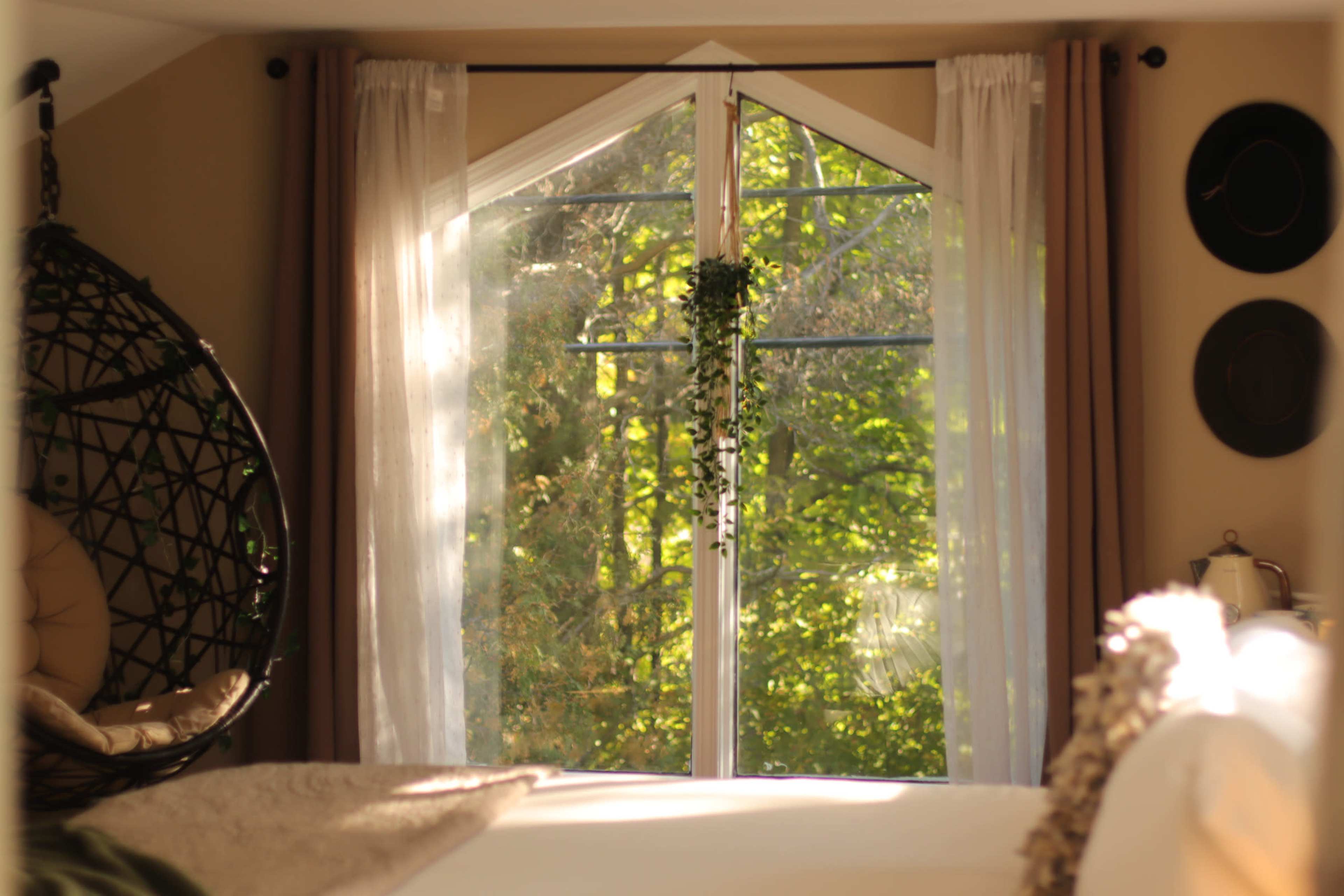 A cozy room features a large window with sheer curtains, overlooking a green outdoor space, and a hanging plant near the glass.