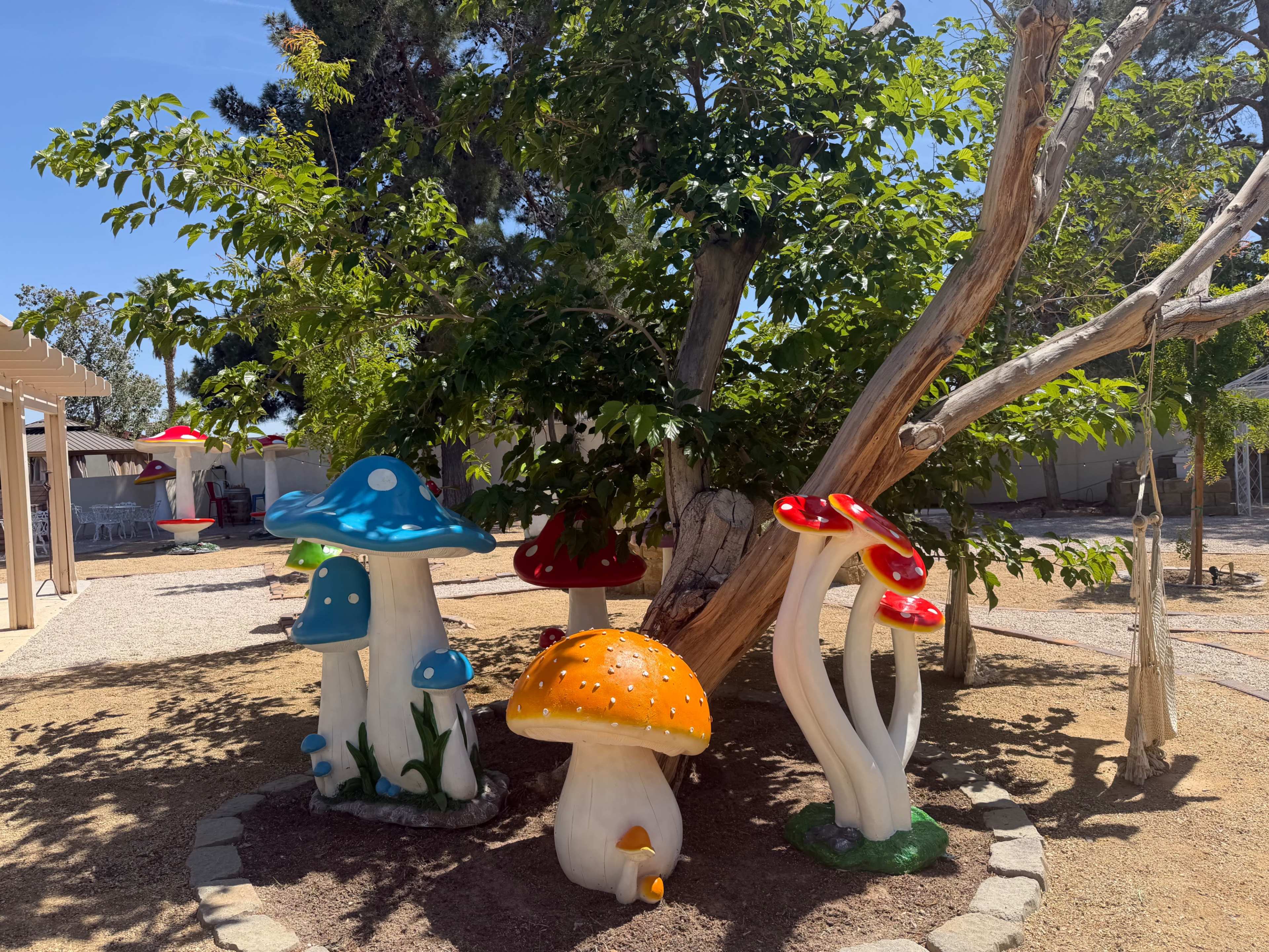 Mushroom Fairy Garden PhotoShoot Outdoor Area Image in The Section 10, Las Vegas, NV
