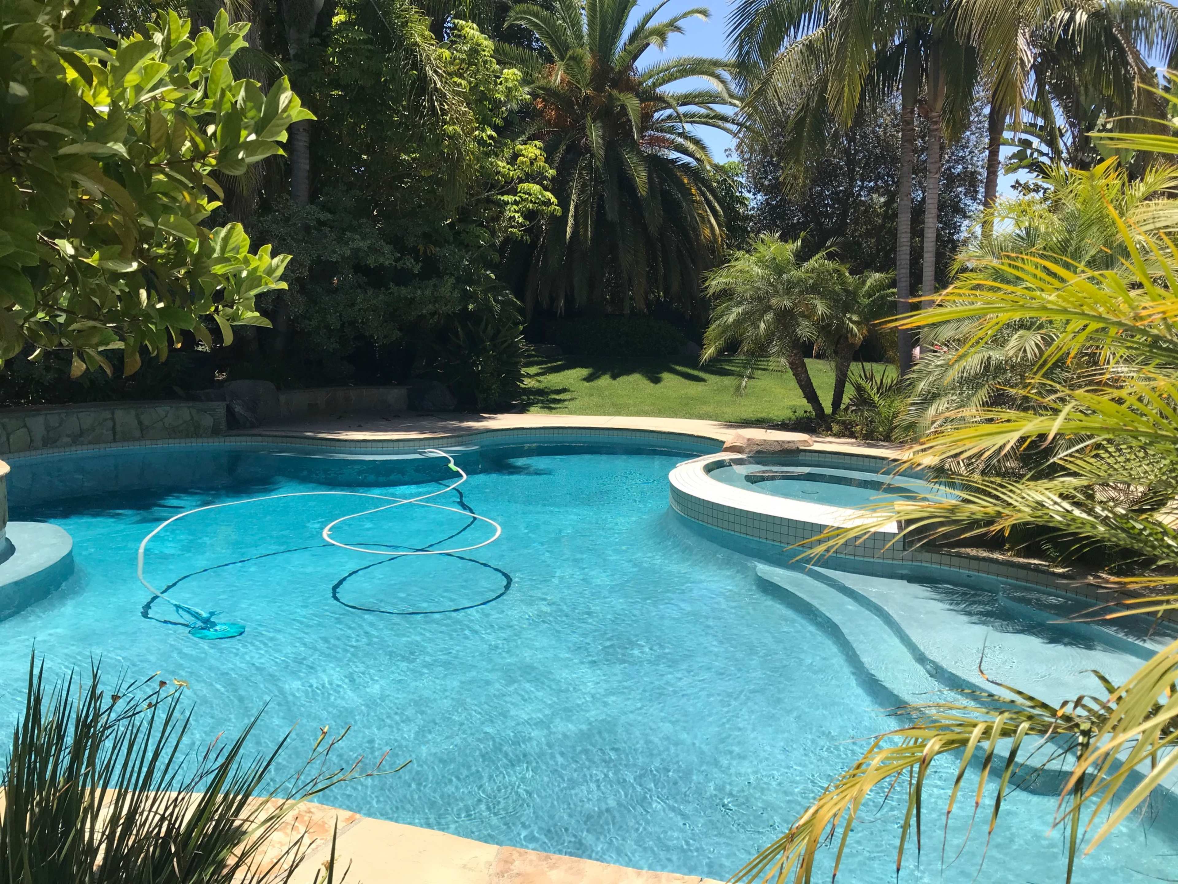 A swimming pool surrounded by lush greenery and palm trees on a sunny day.