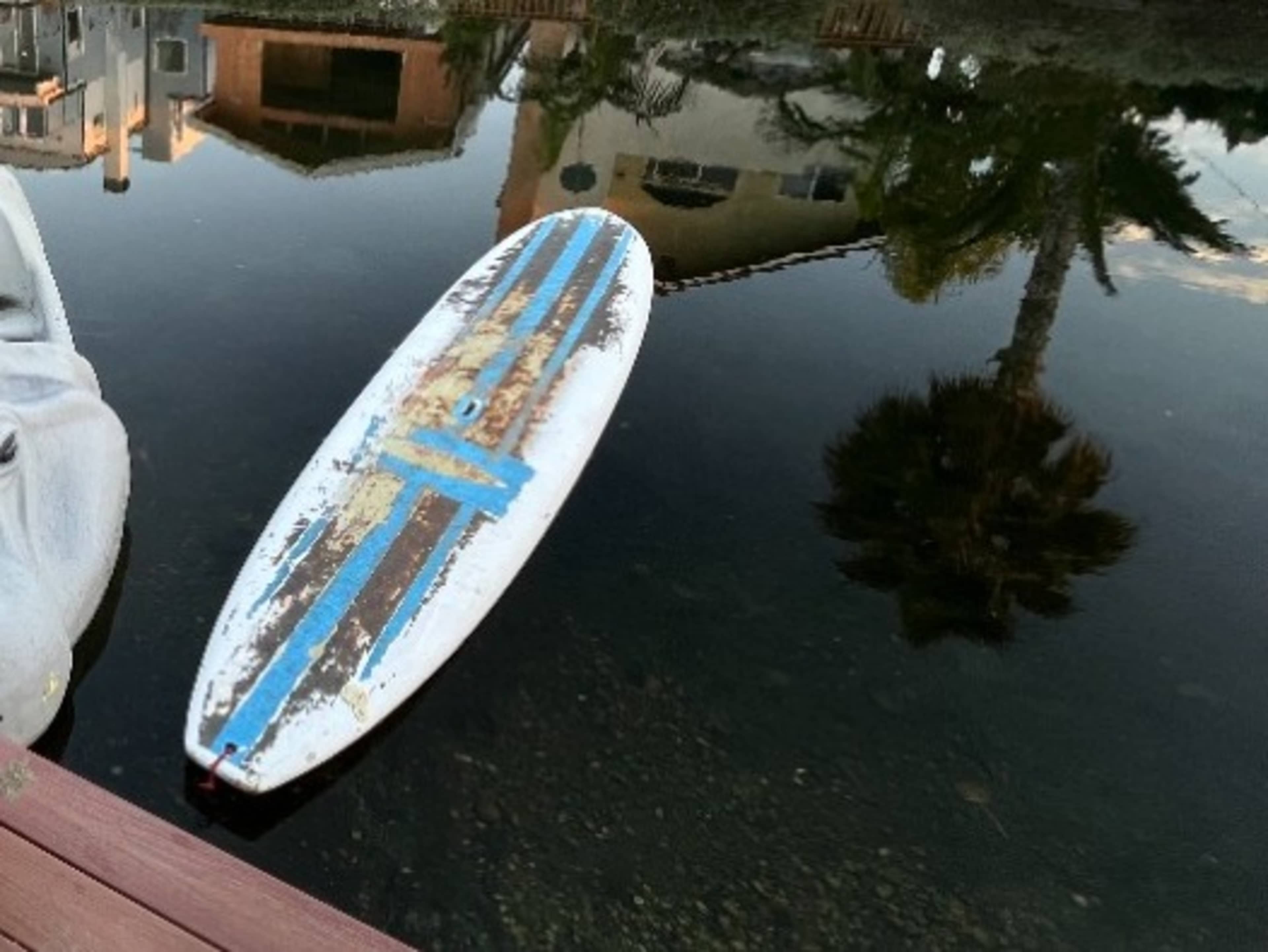 paddle boards