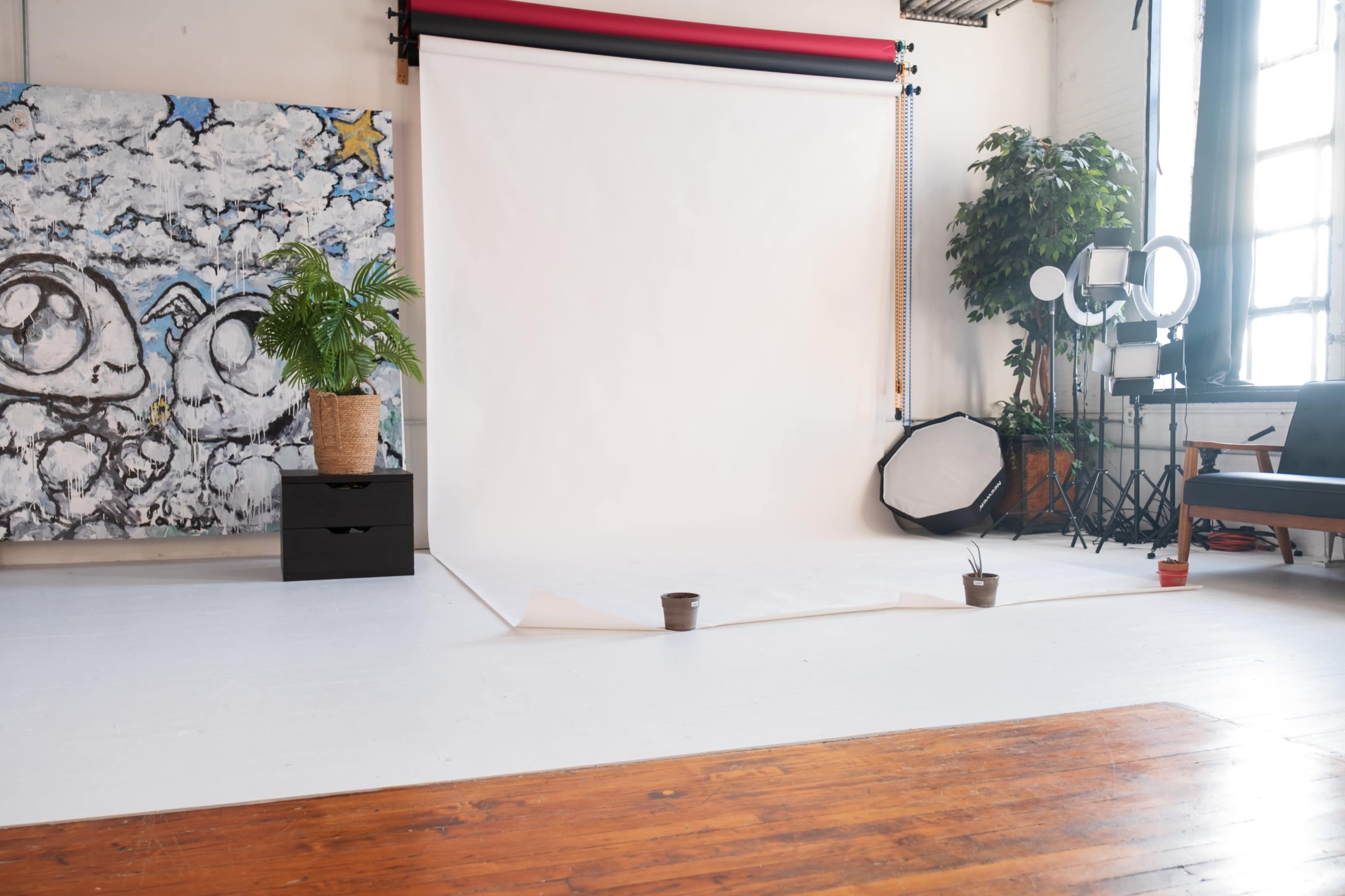 A photography studio with a blank backdrop, potted plants, and various lighting equipment.