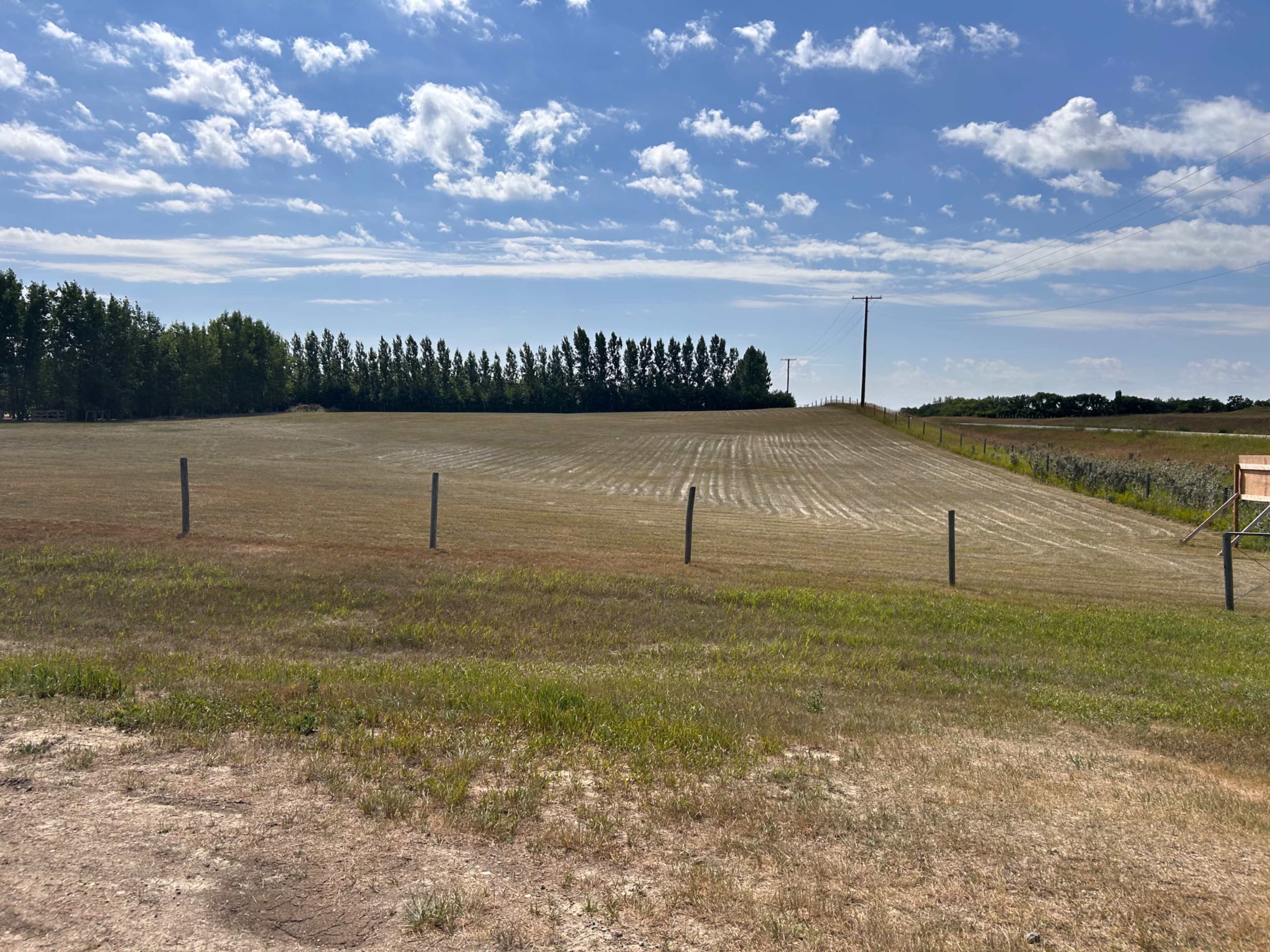 A wide, dry field stretches before a row of trees under a partly cloudy sky, with a power line running along one side.