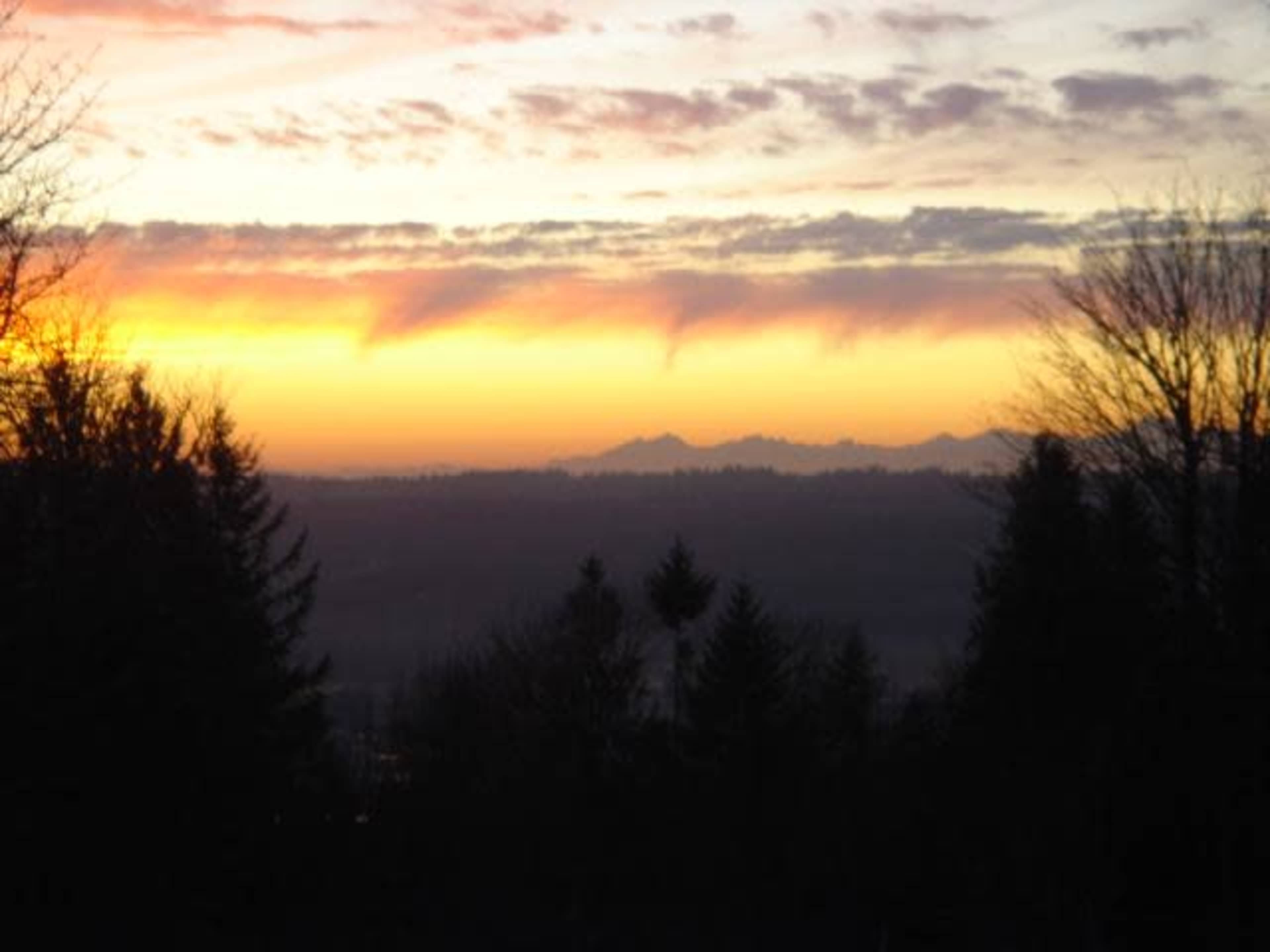 The image shows a colorful sunset over distant mountains, framed by silhouetted trees in the foreground.