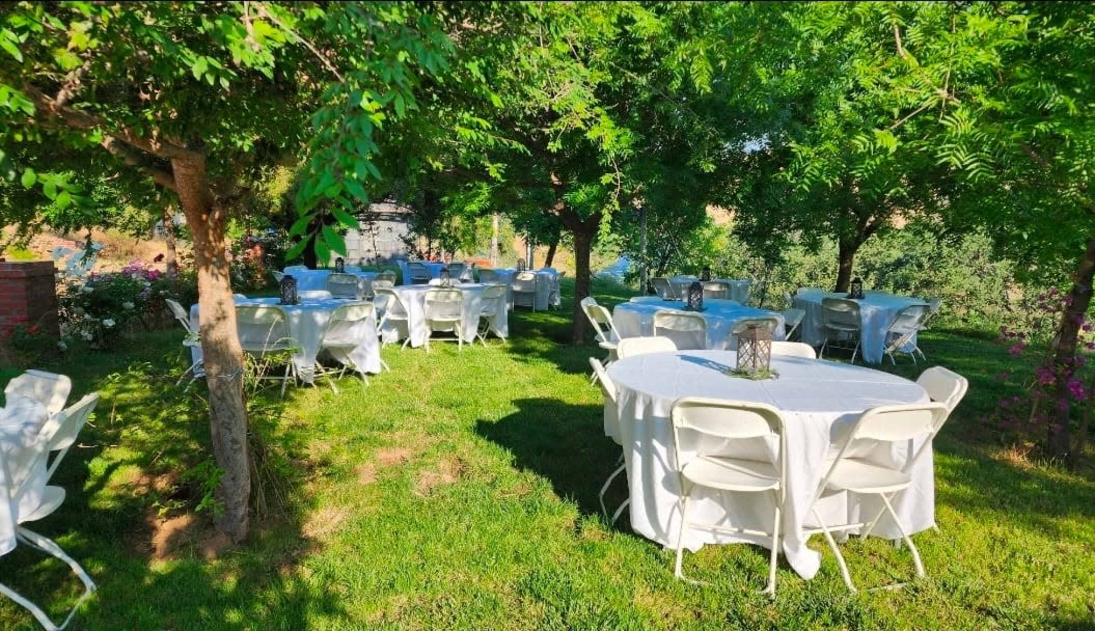 The image shows a garden setup with several round tables covered in white tablecloths, surrounded by green trees and grass.