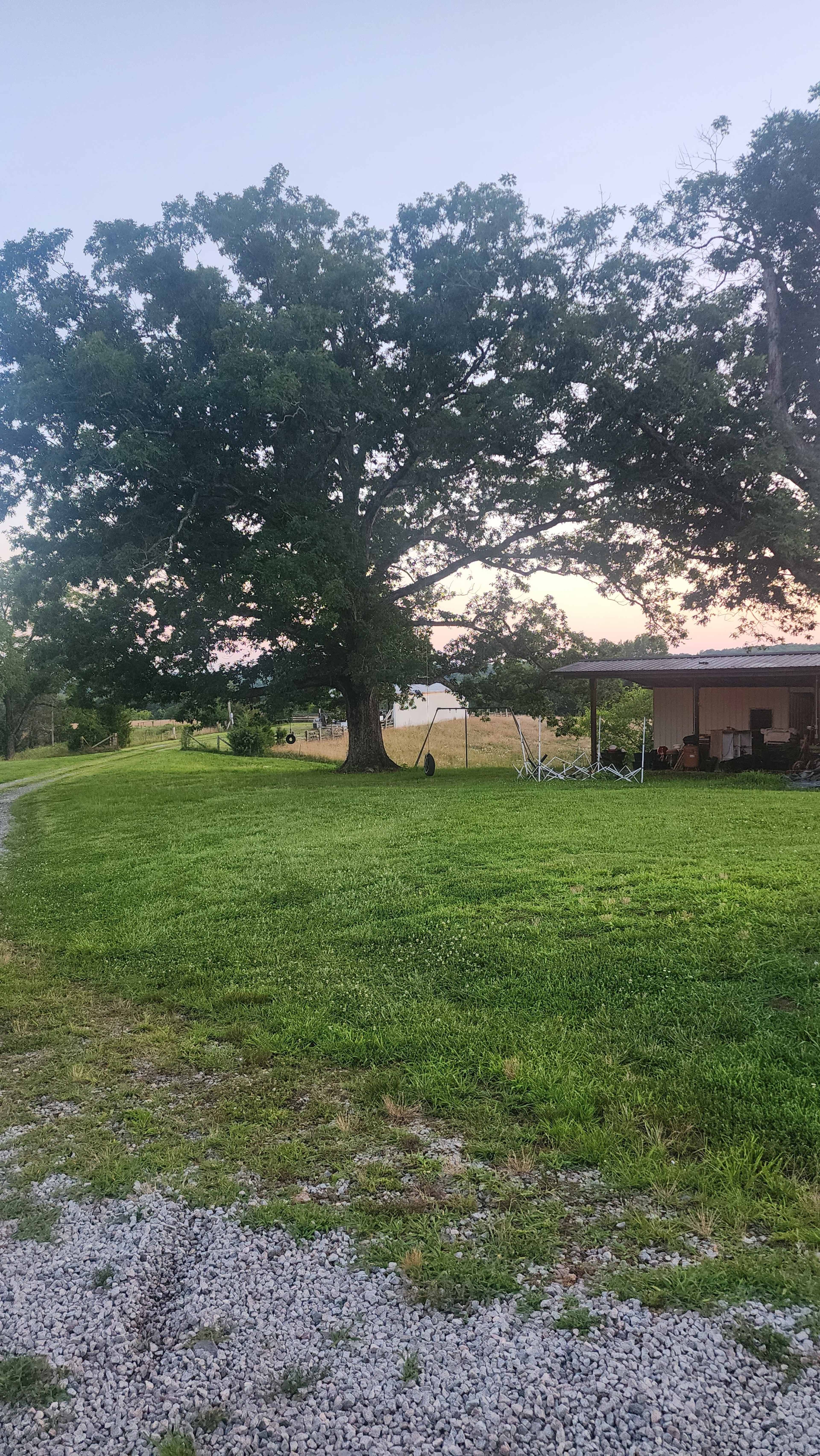 A large tree stands beside a grassy area leading to a building, with open fields visible in the background.