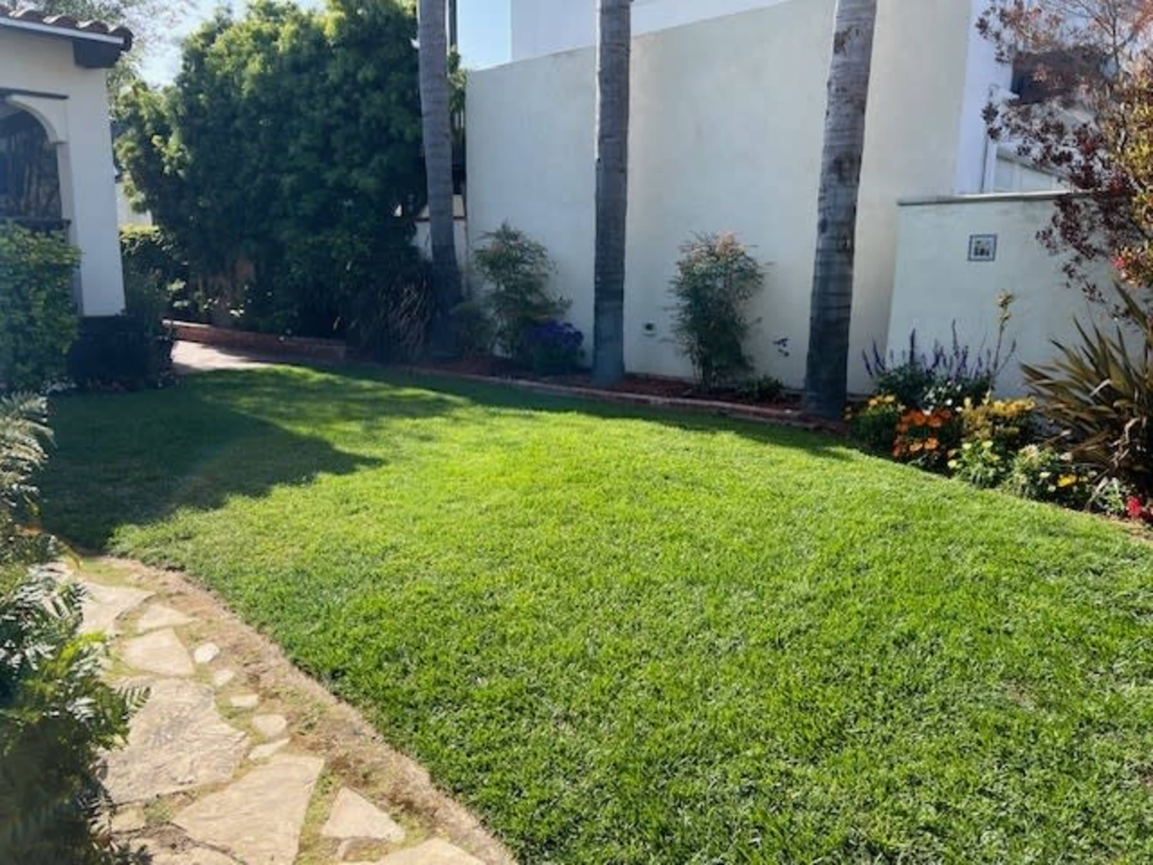 A green lawn bordered by trees and flower beds in a residential garden.