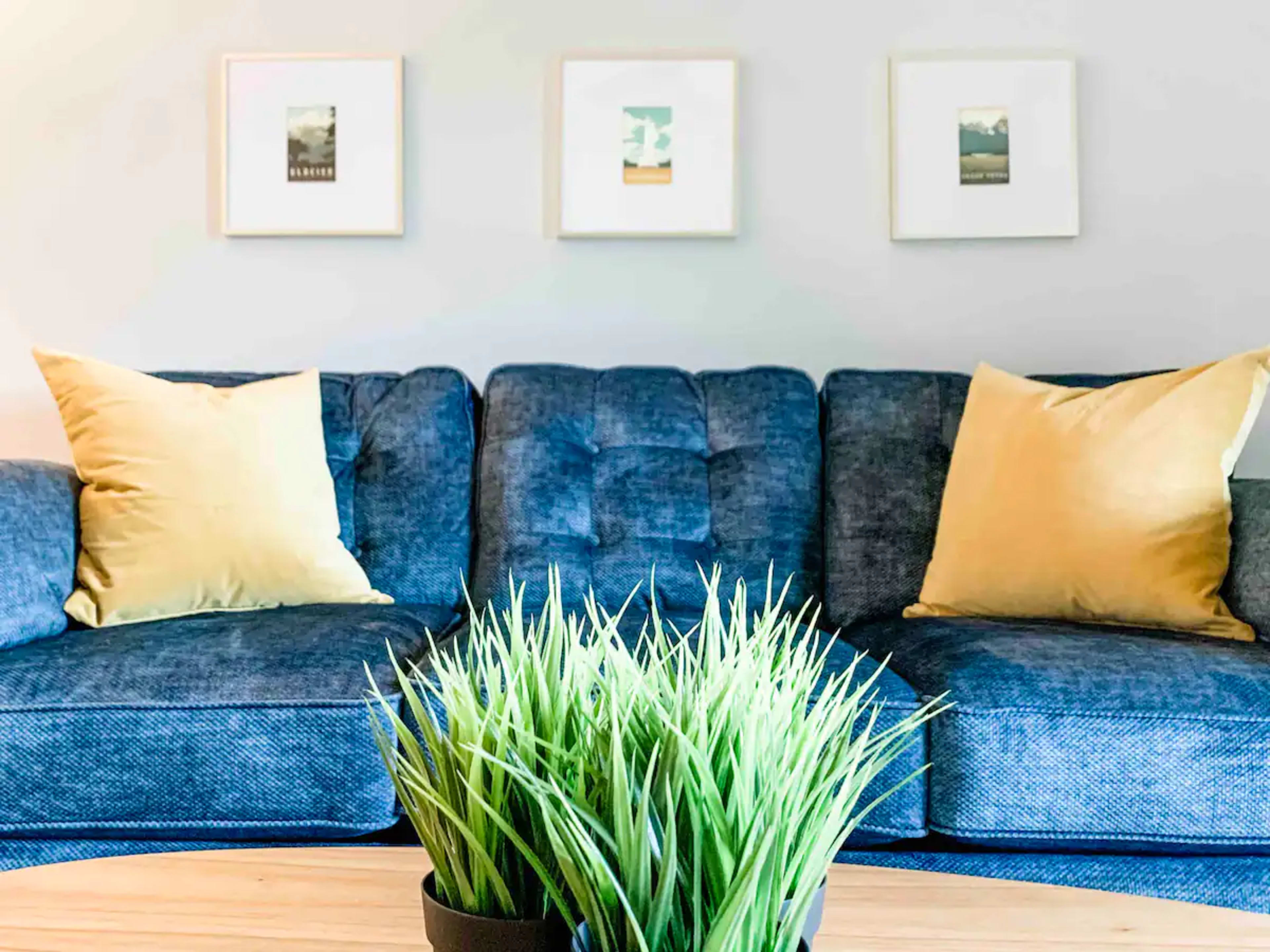 A blue couch with yellow decorative pillows is positioned in front of a wall displaying three framed pictures, while a potted plant with long green grass sits on a wooden table.