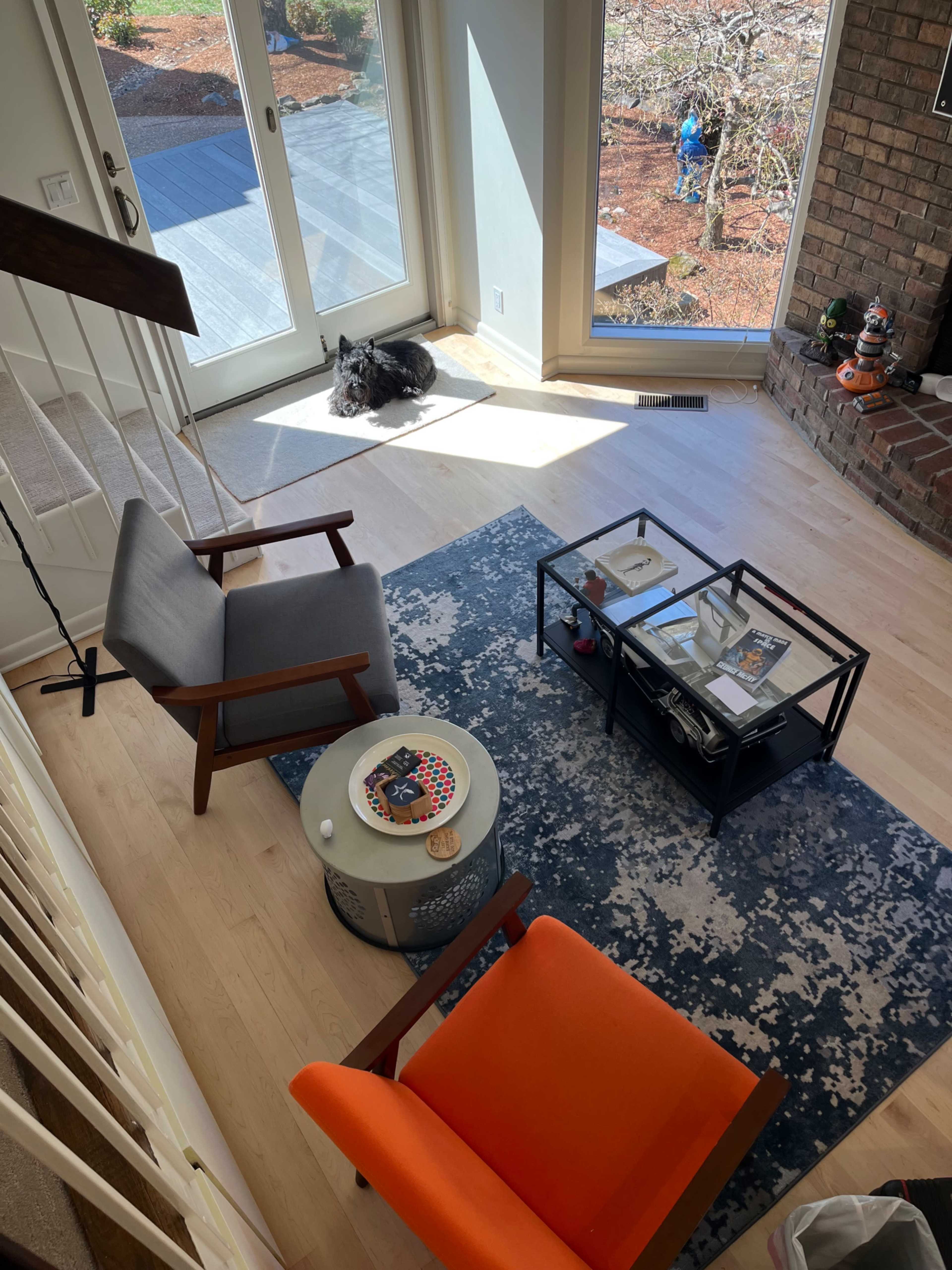 The image shows a cozy living room with two chairs, a small table, a coffee table on a patterned rug, and a dog resting in a sunlit corner near a window.