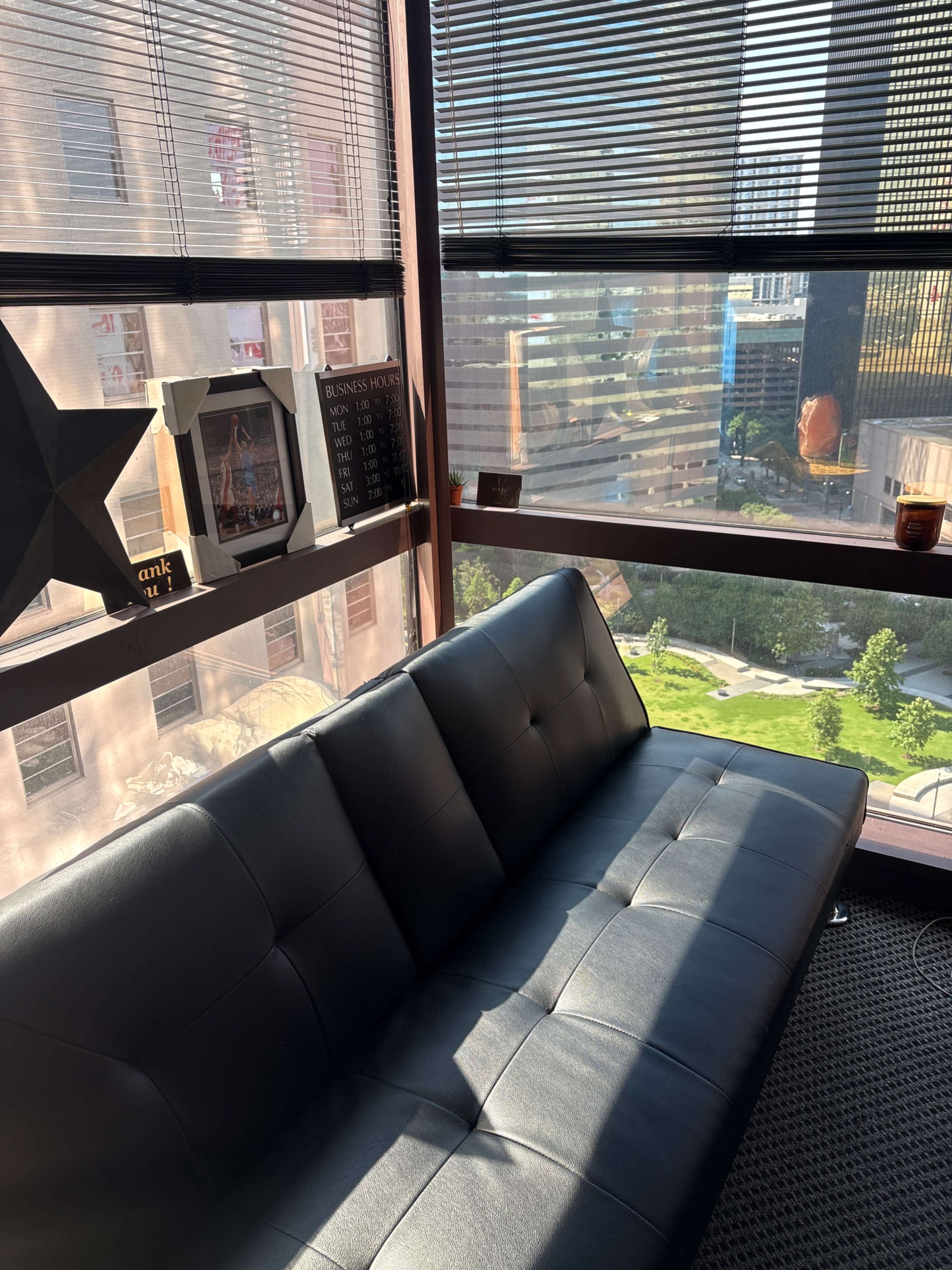 A black couch is positioned near a window, showcasing a view of a green park and cityscape beyond.