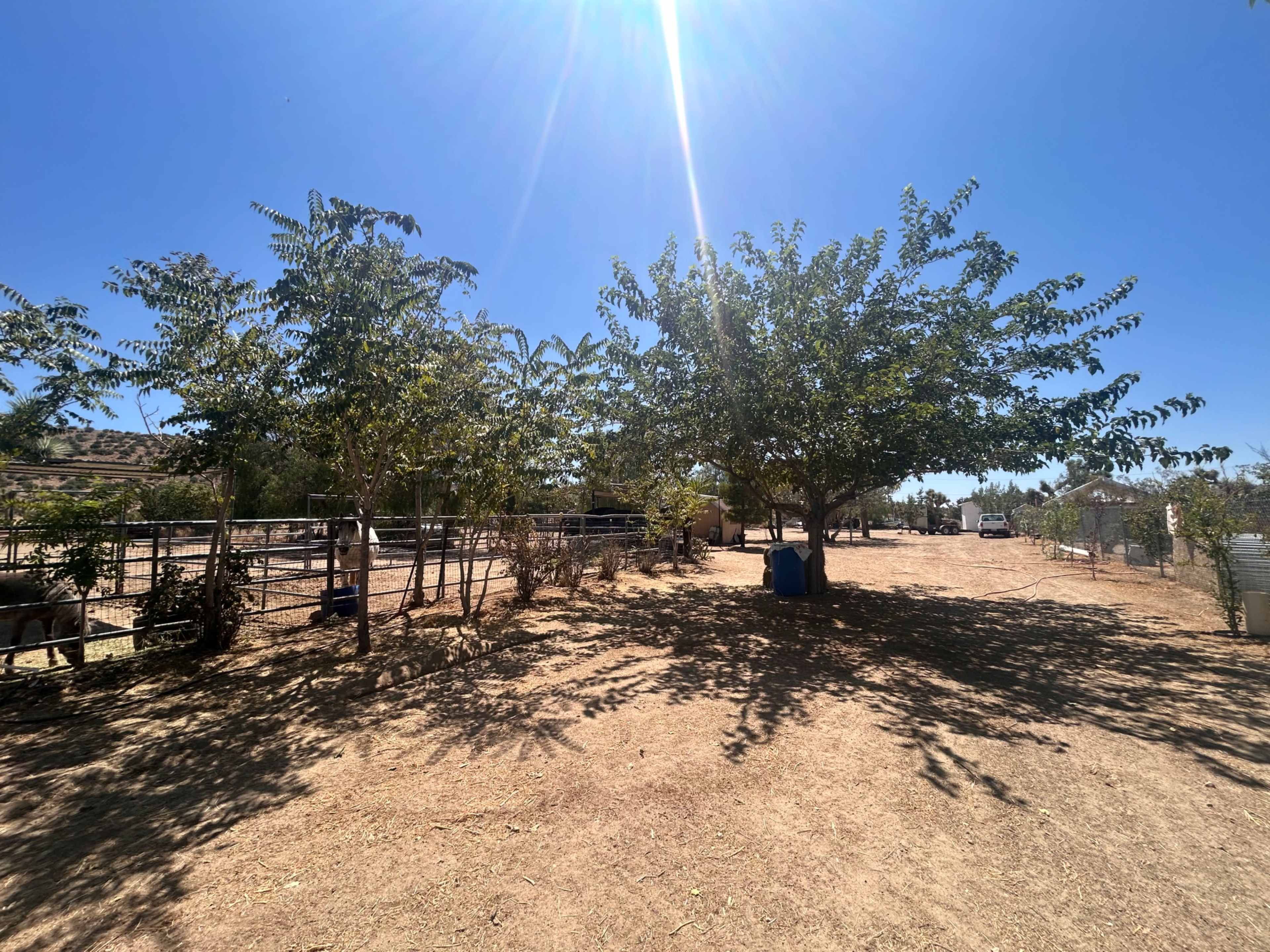 The image shows a dusty landscape with several trees lining a path, leading to fenced areas and a white vehicle in the distance under a clear blue sky.