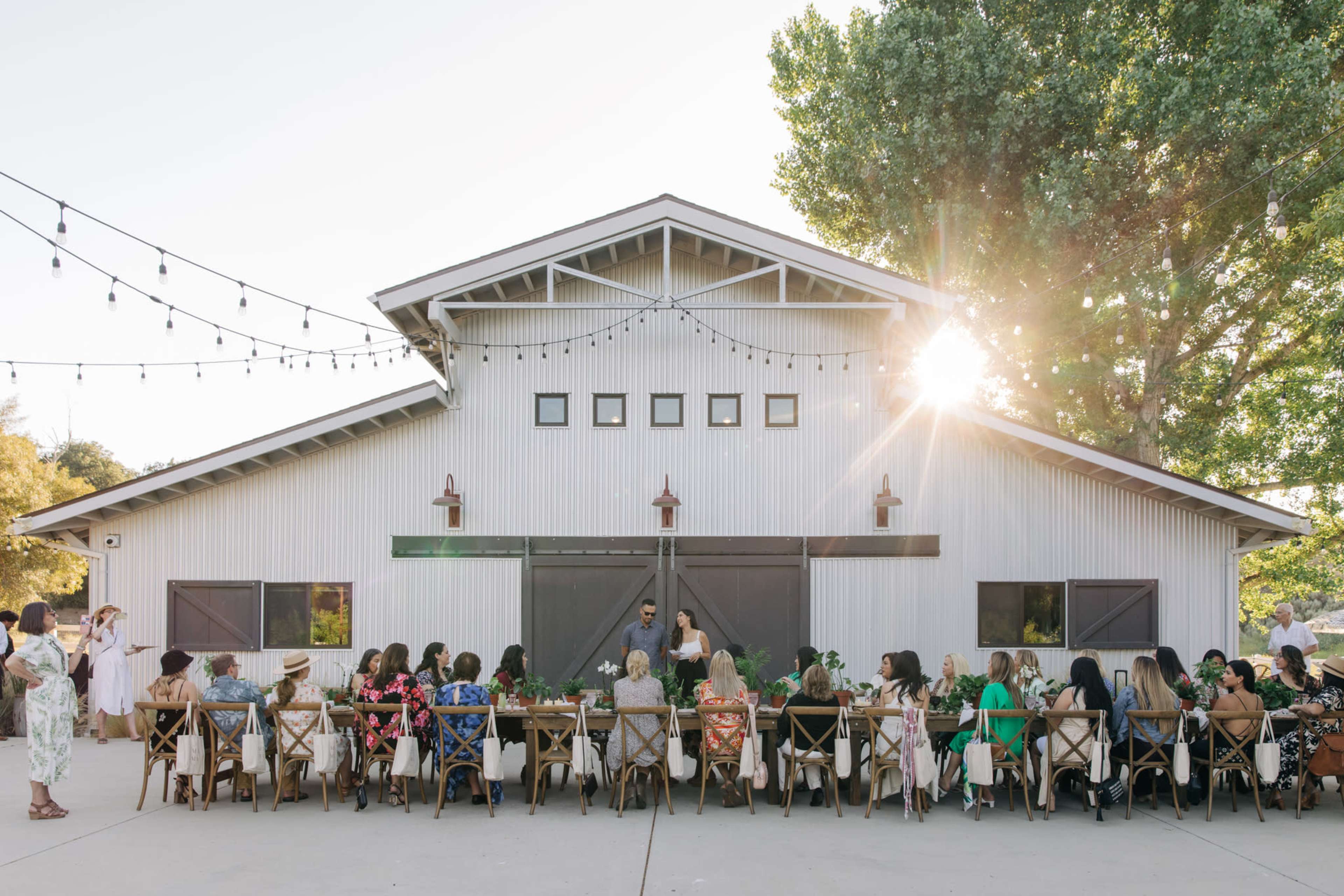 A long table is set for a gathering outside a barn-style building, with guests seated and enjoying the event as sunlight filters through trees.