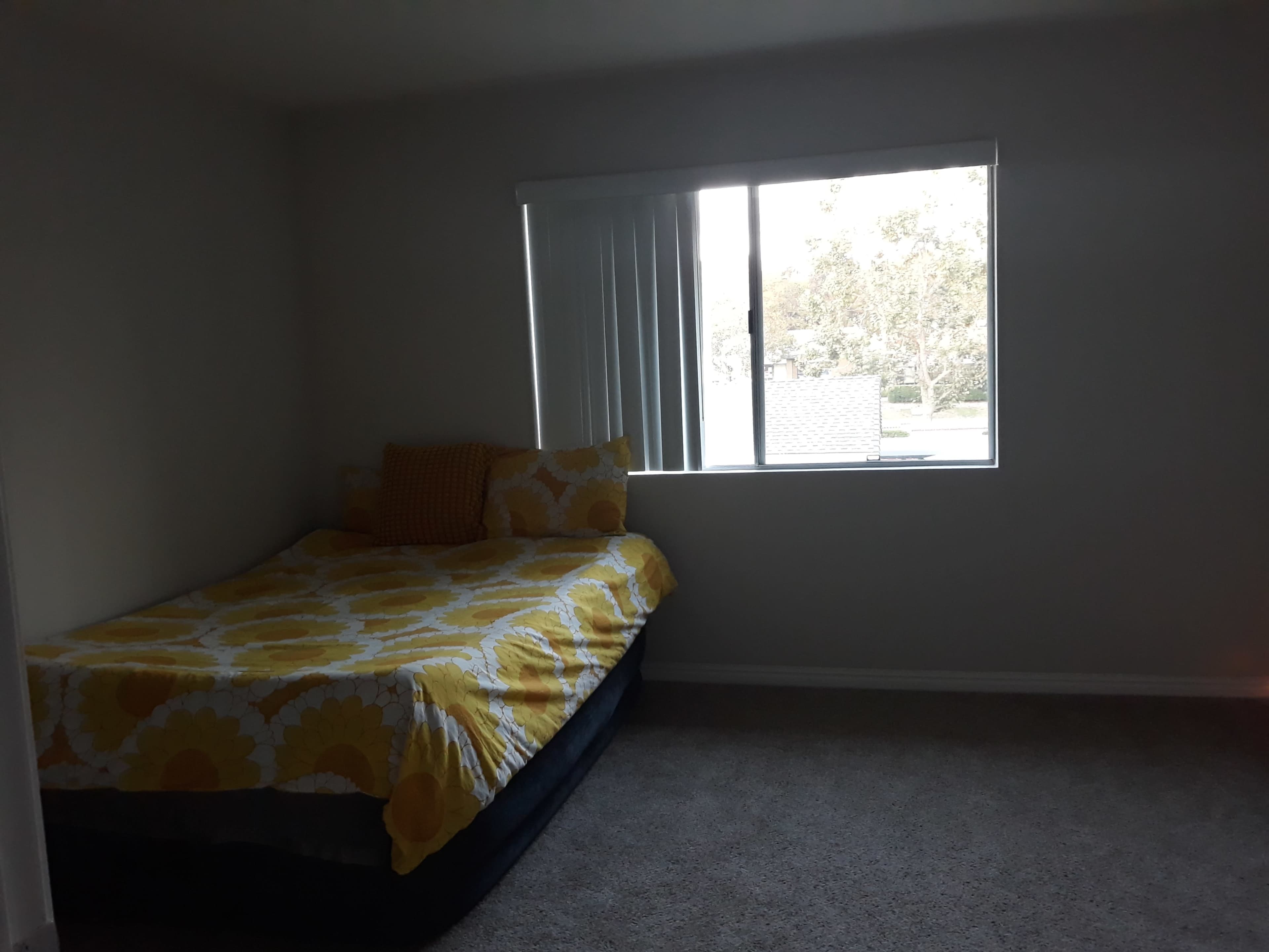 Sleek Urban Escape: High-Ceiling Apartment with Balcony & Pool Viewl Image in Central Escondido, Escondido, CA