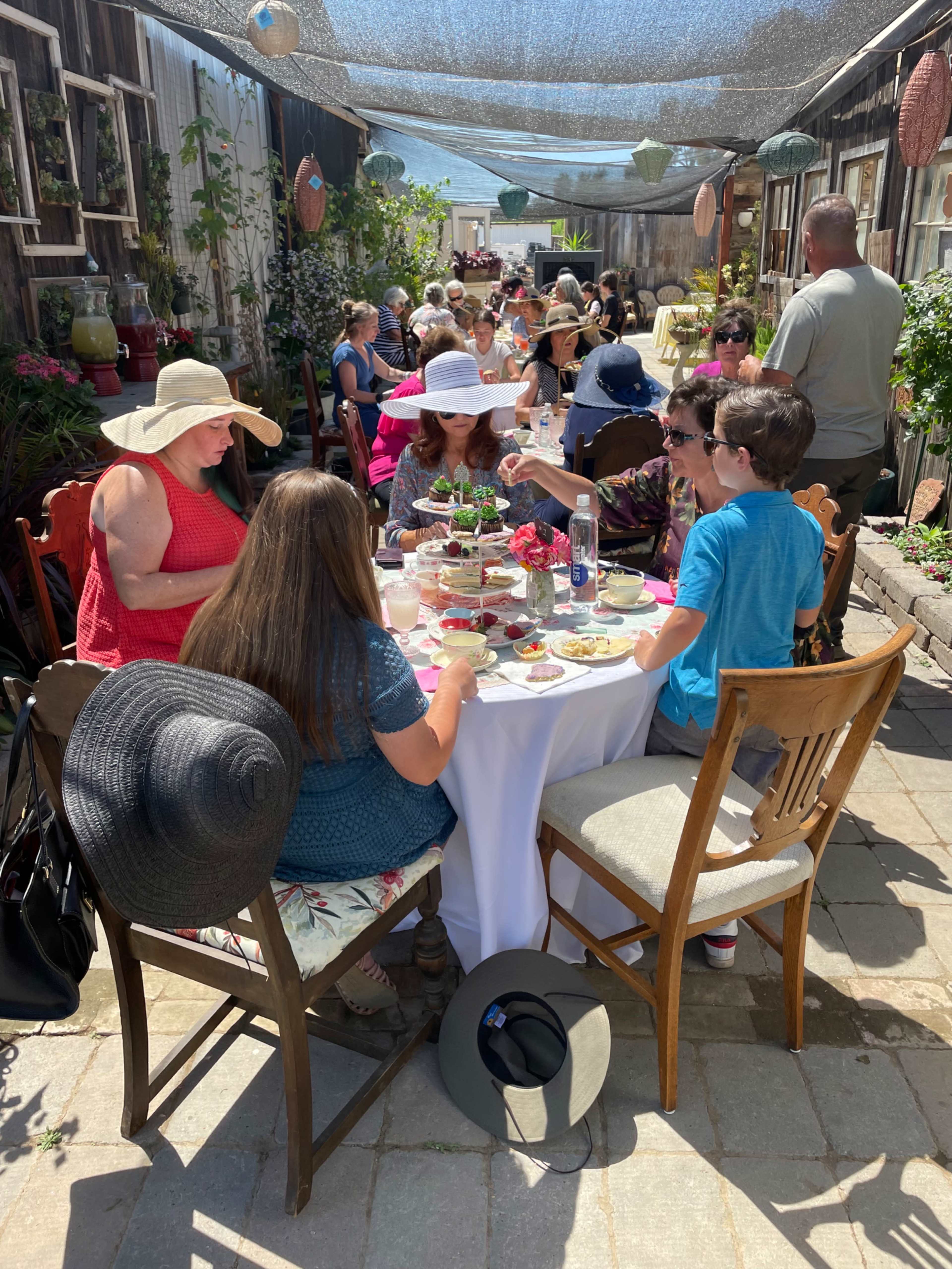 A group of people is seated around several tables set for a outdoor dining event, enjoying food and conversation under a shaded canopy.