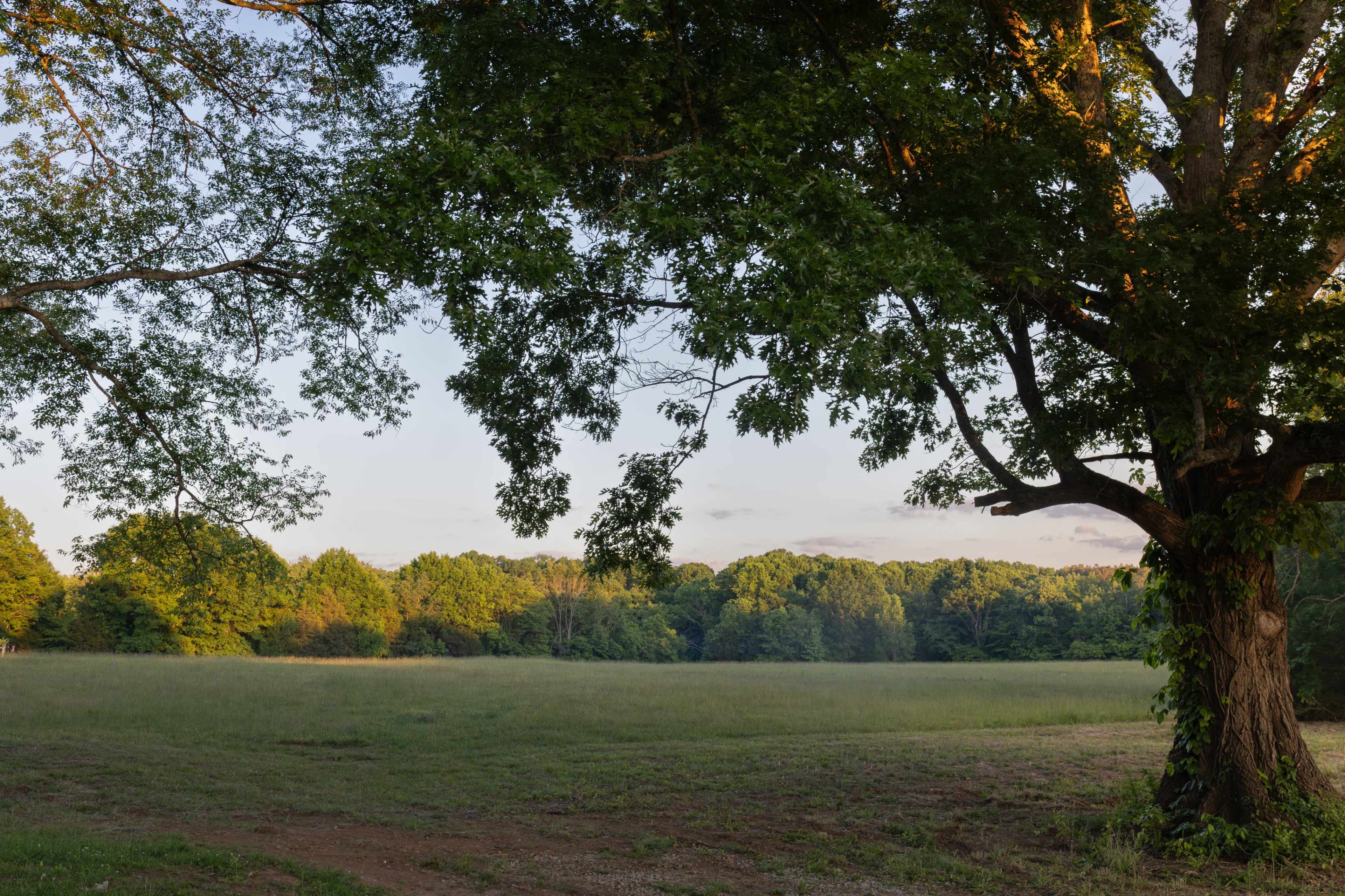 Cinematic Cottage on 20 Acres Near Nashville | Meadow + Barn Image in , Arrington, TN