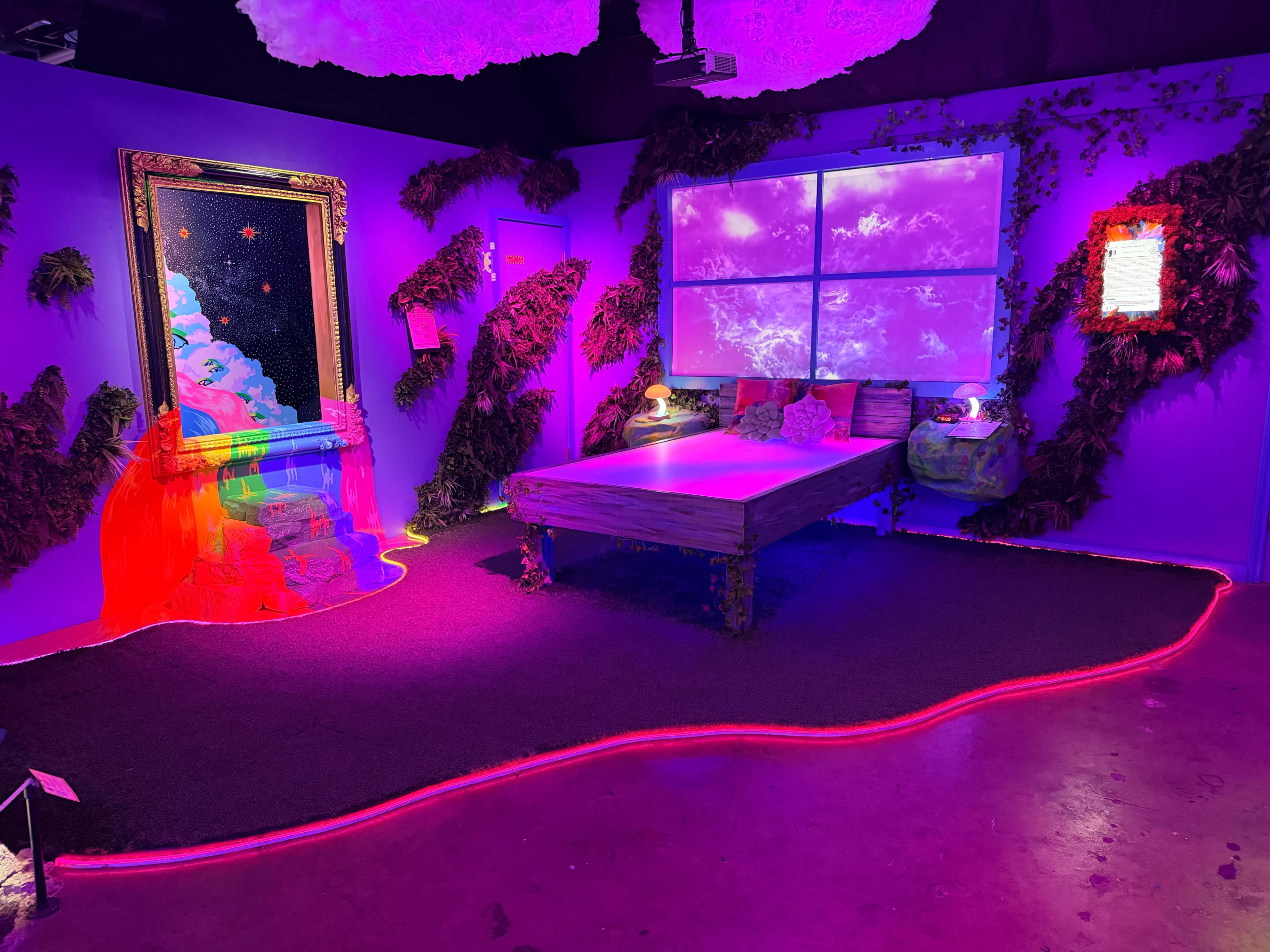 The image features a colorful, surreal room with a bed, vibrant lighting, and decorative elements resembling plants and art installations on the walls.