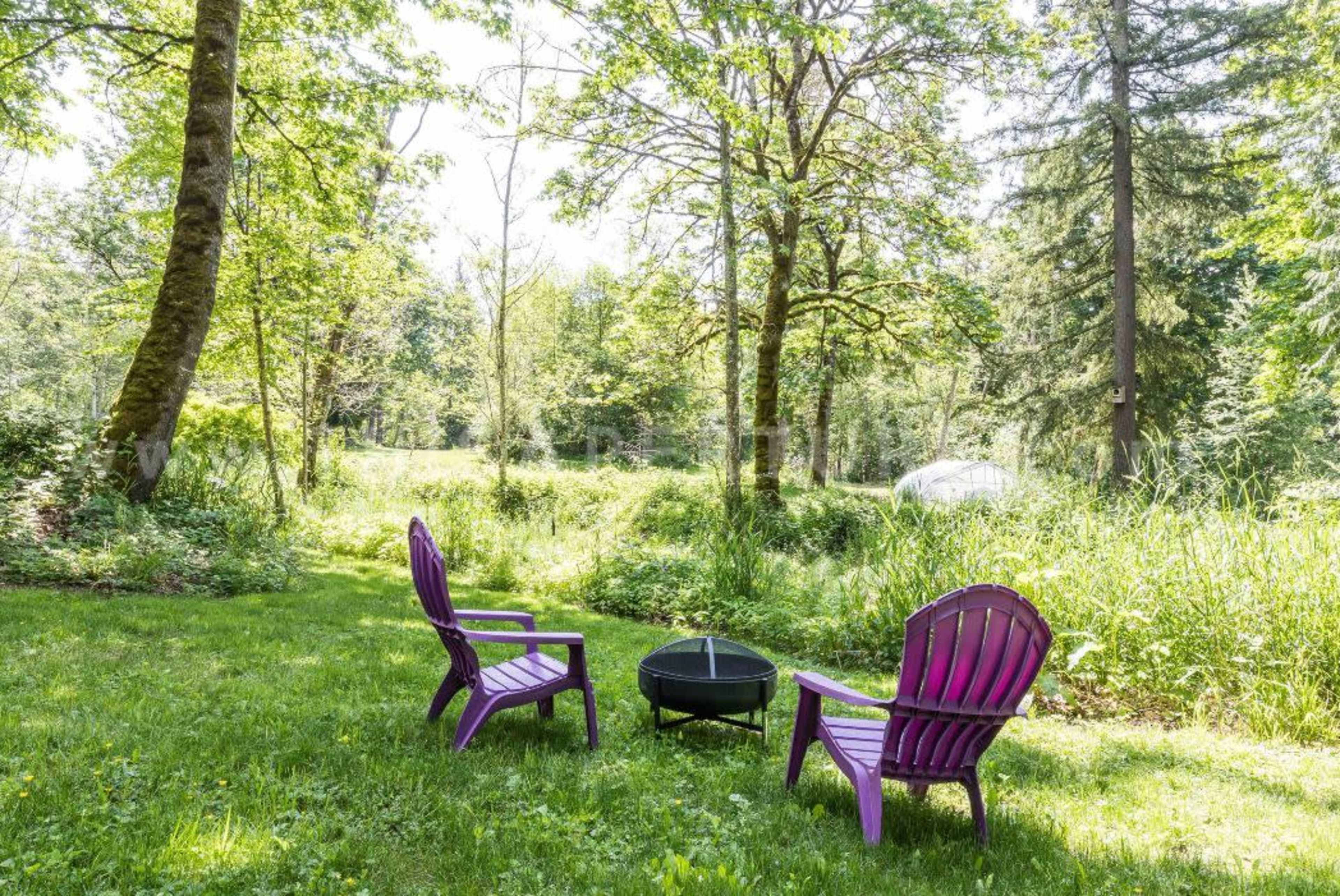 Two purple adirondack chairs are positioned around a small fire pit in a grassy area surrounded by tall trees and dense foliage.