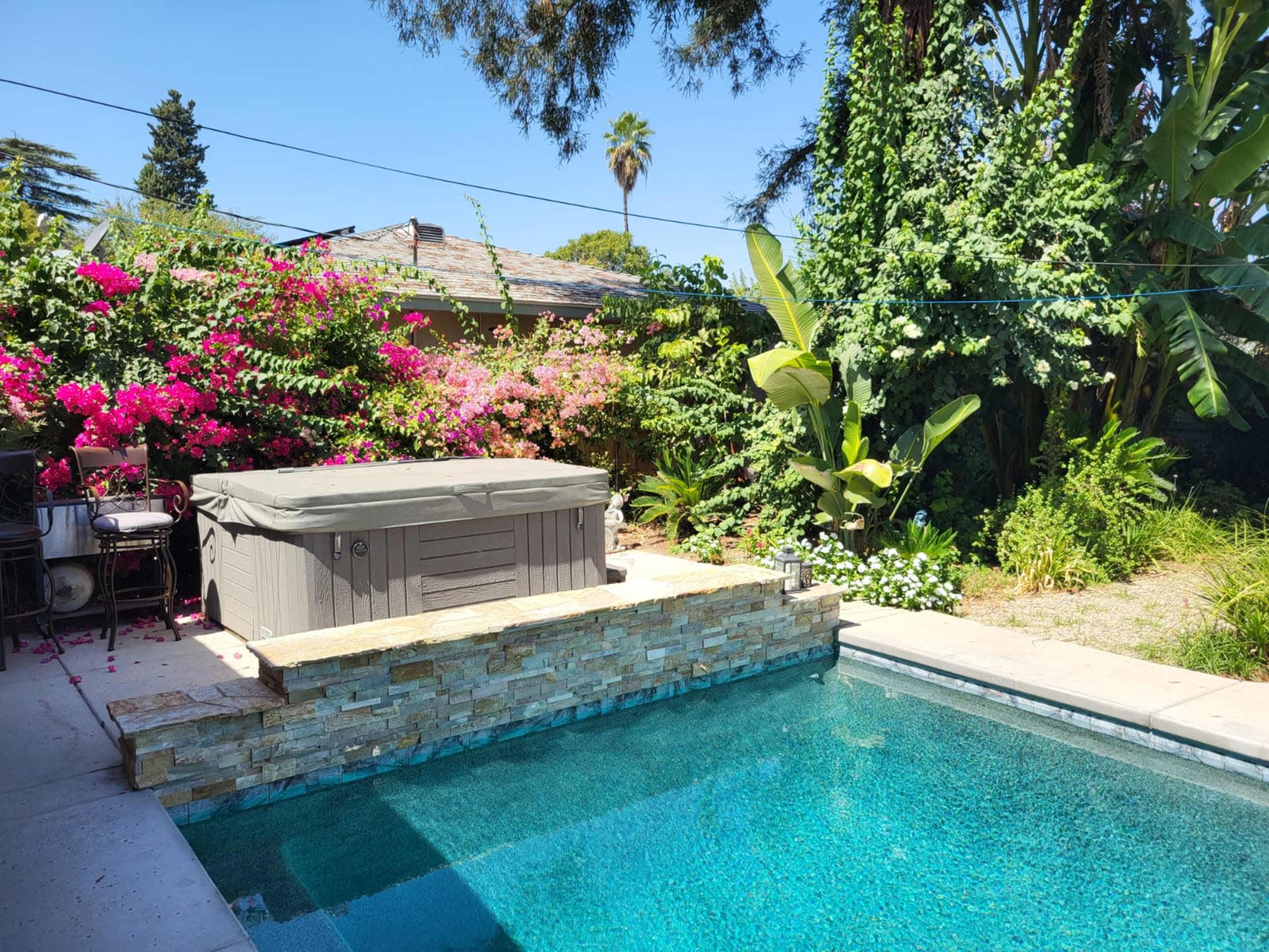 A backyard swimming pool with a hot tub surrounded by lush greenery and flowering plants.