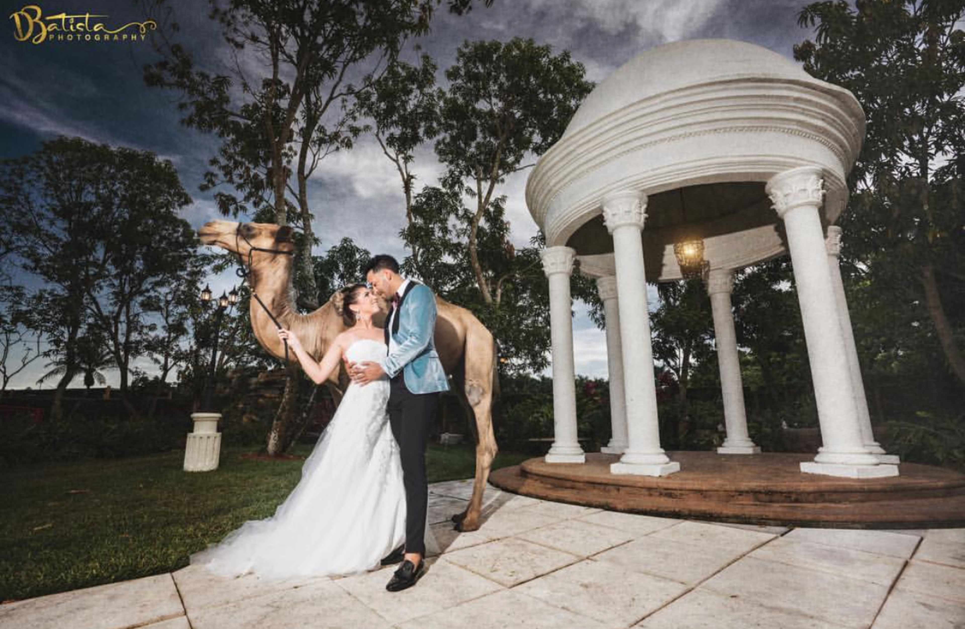 A bride and groom kiss near a camel while posing in front of a white, columned structure on a stone patio.