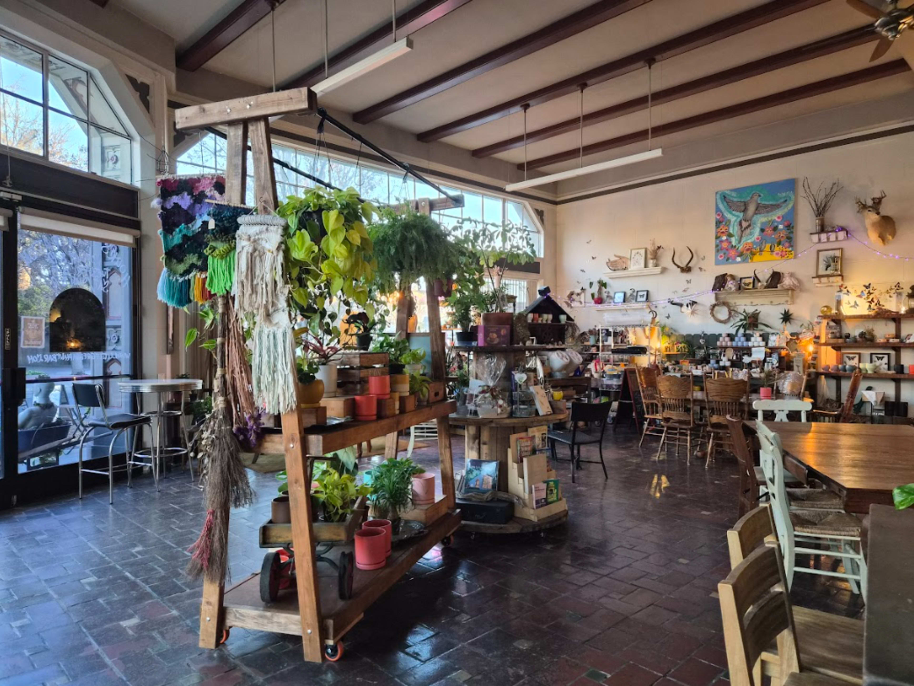 The image shows a cozy café interior filled with plants, wooden furniture, and various decorative items along the walls.