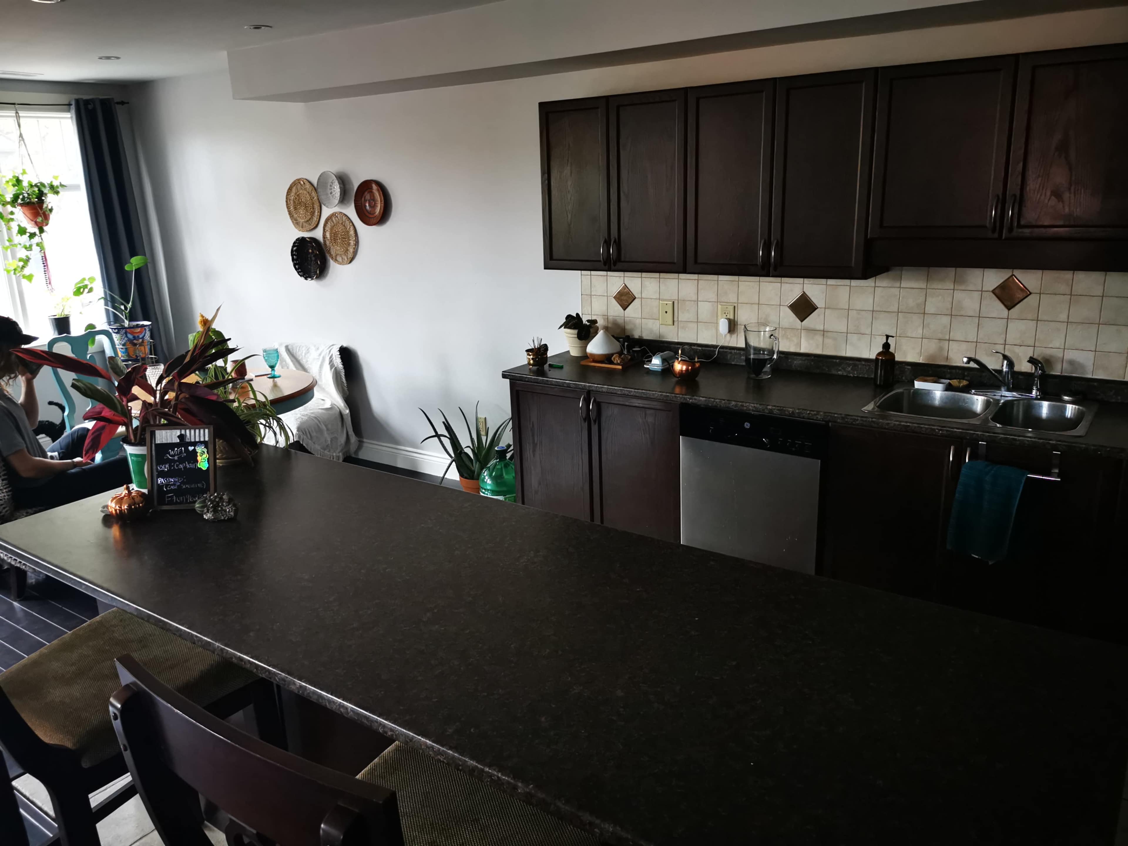 A modern kitchen features dark cabinetry, a stainless steel sink, and a breakfast bar with stools, along with decorative wall plates and houseplants.