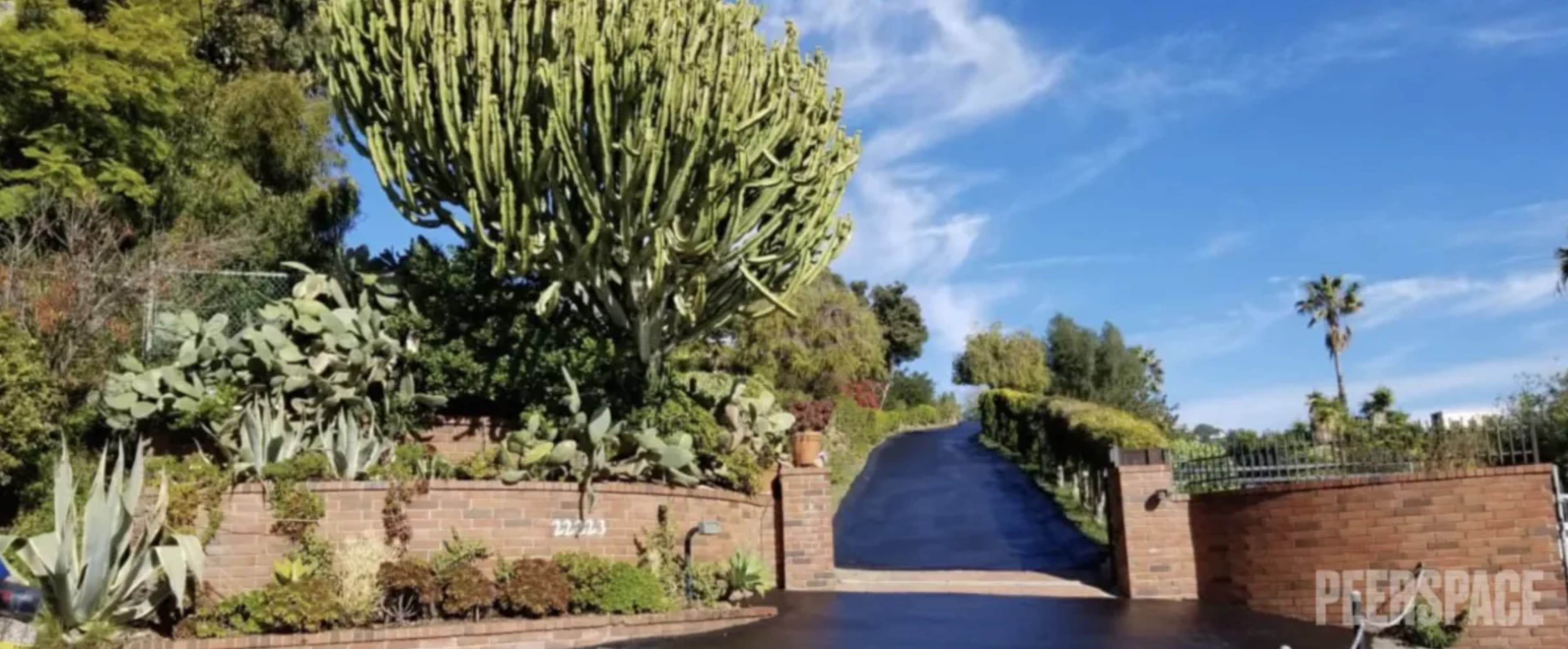 A steep driveway leads up to a property adorned with tall cacti and lush greenery.