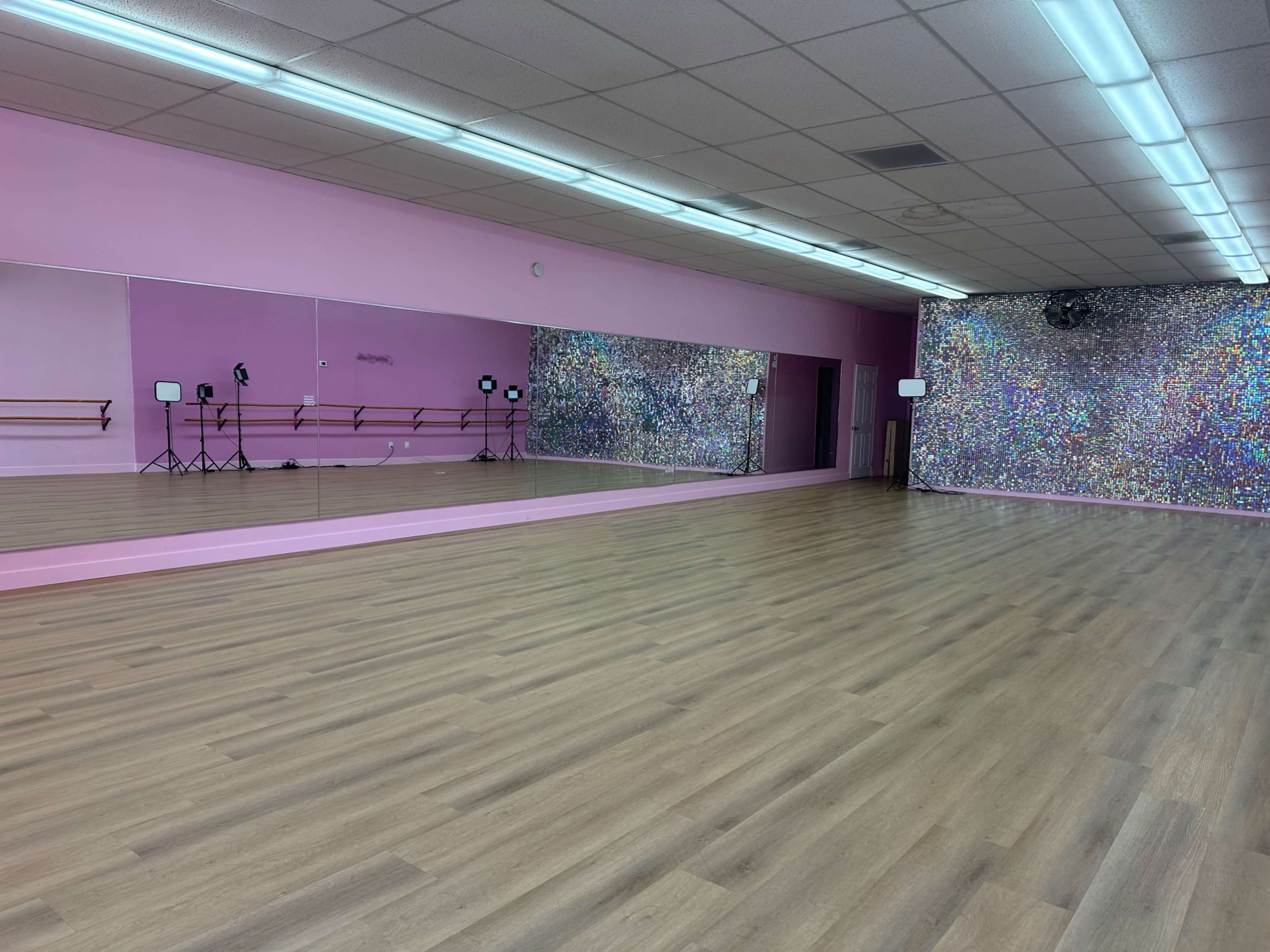 The Pink Palace | Barbie Dream House Image in Allied Gardens, San Diego, CA