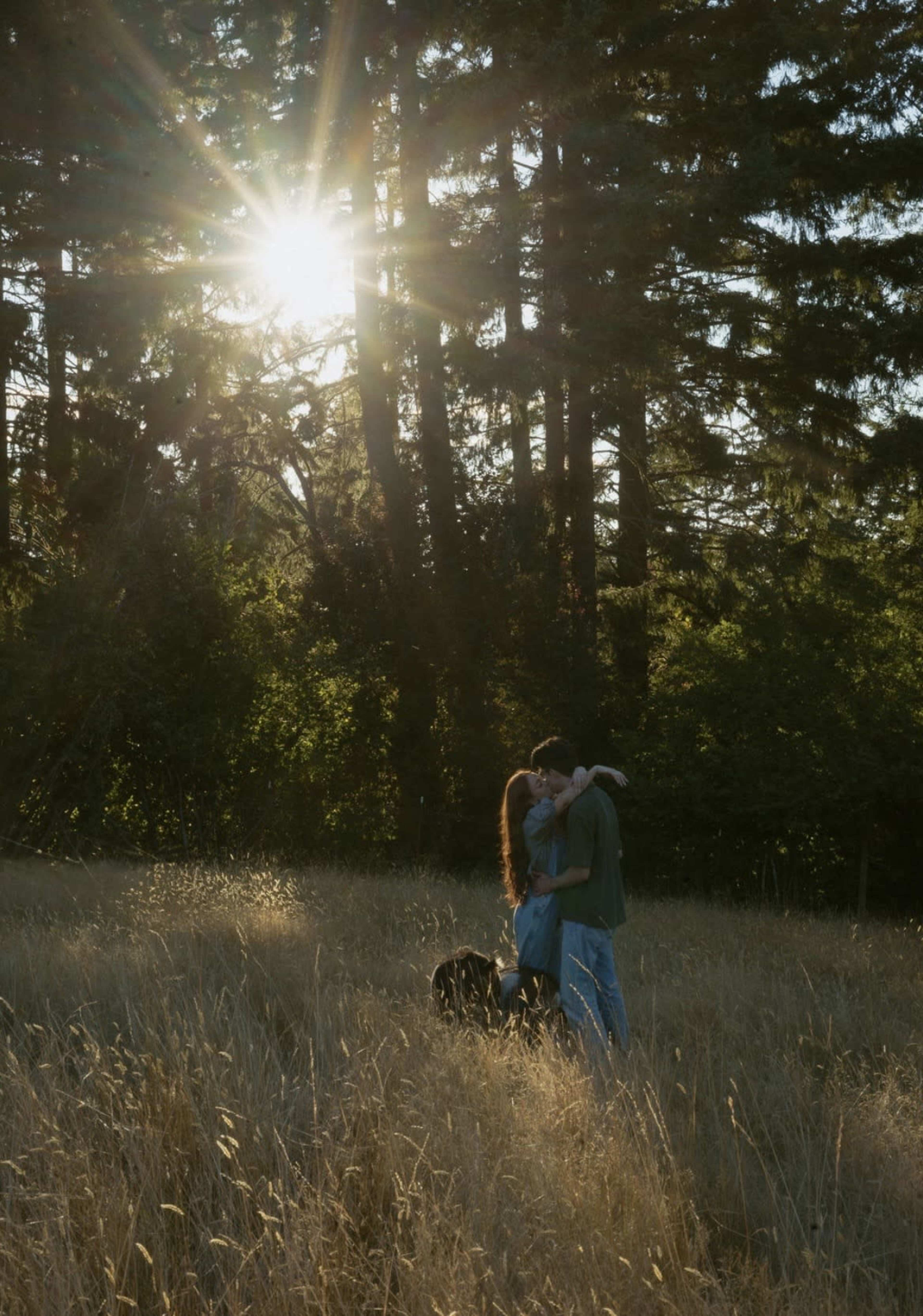 A couple embraces in a sunlit field surrounded by tall grass and trees.
