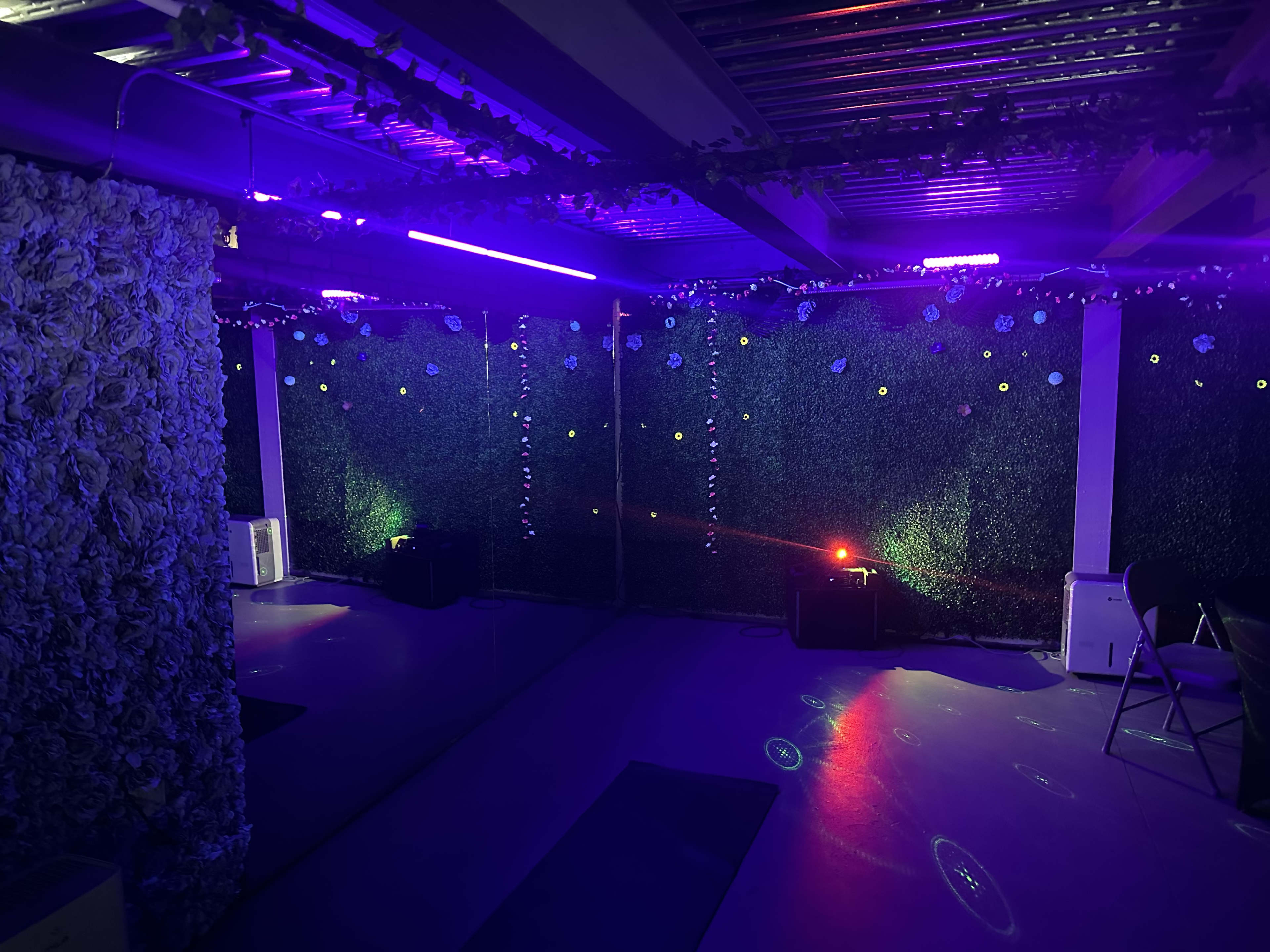 The image shows a dimly lit room with artificial greenery along the walls, colorful lights overhead, and minimal furniture.