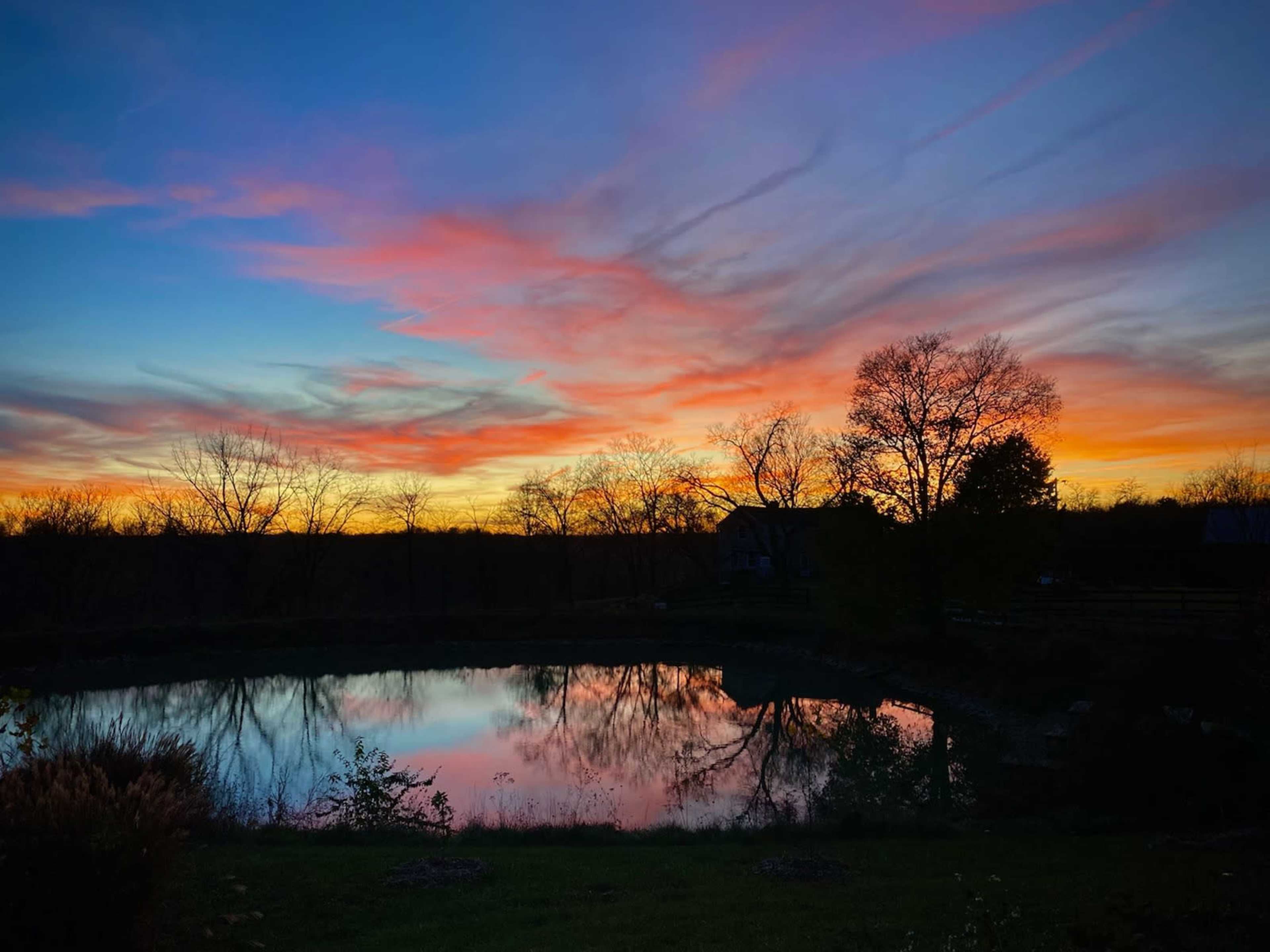 The scene shows a tranquil pond reflecting colorful clouds at sunset, framed by bare trees and a rural house in the background.