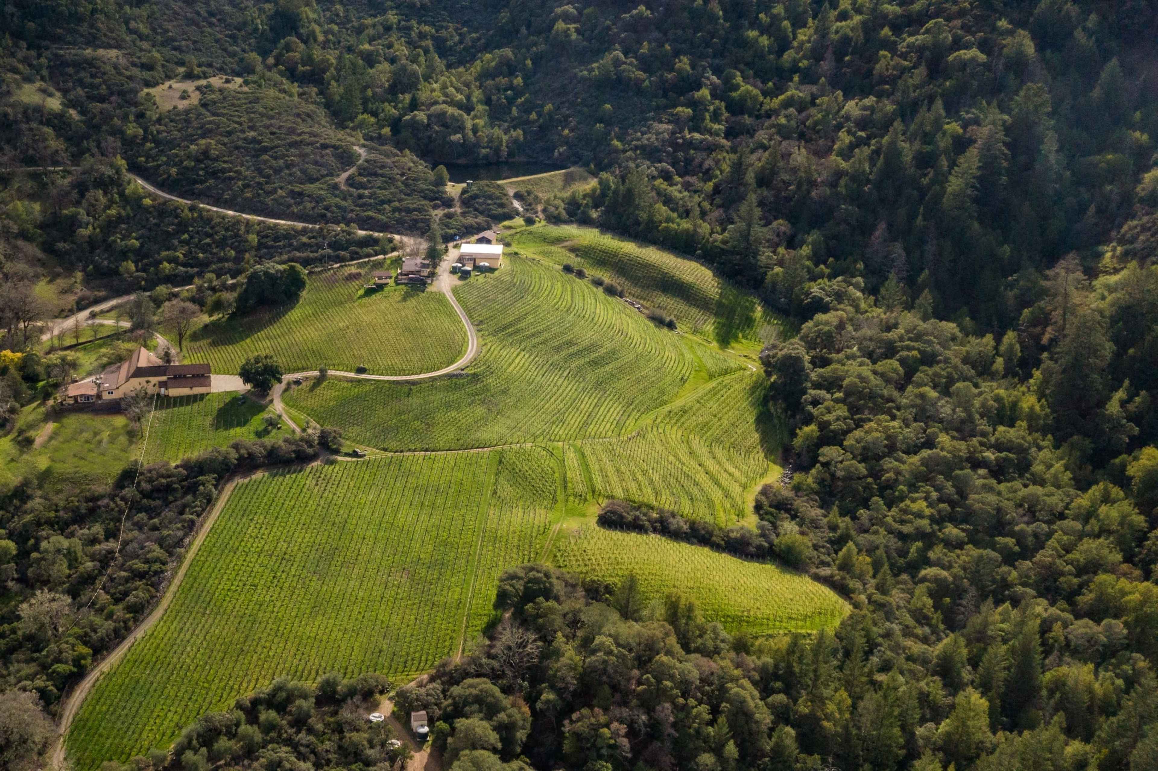 Private Vineyard Retreat, Stunning views: On-Site Wine Tasting Image in , Hopland, CA