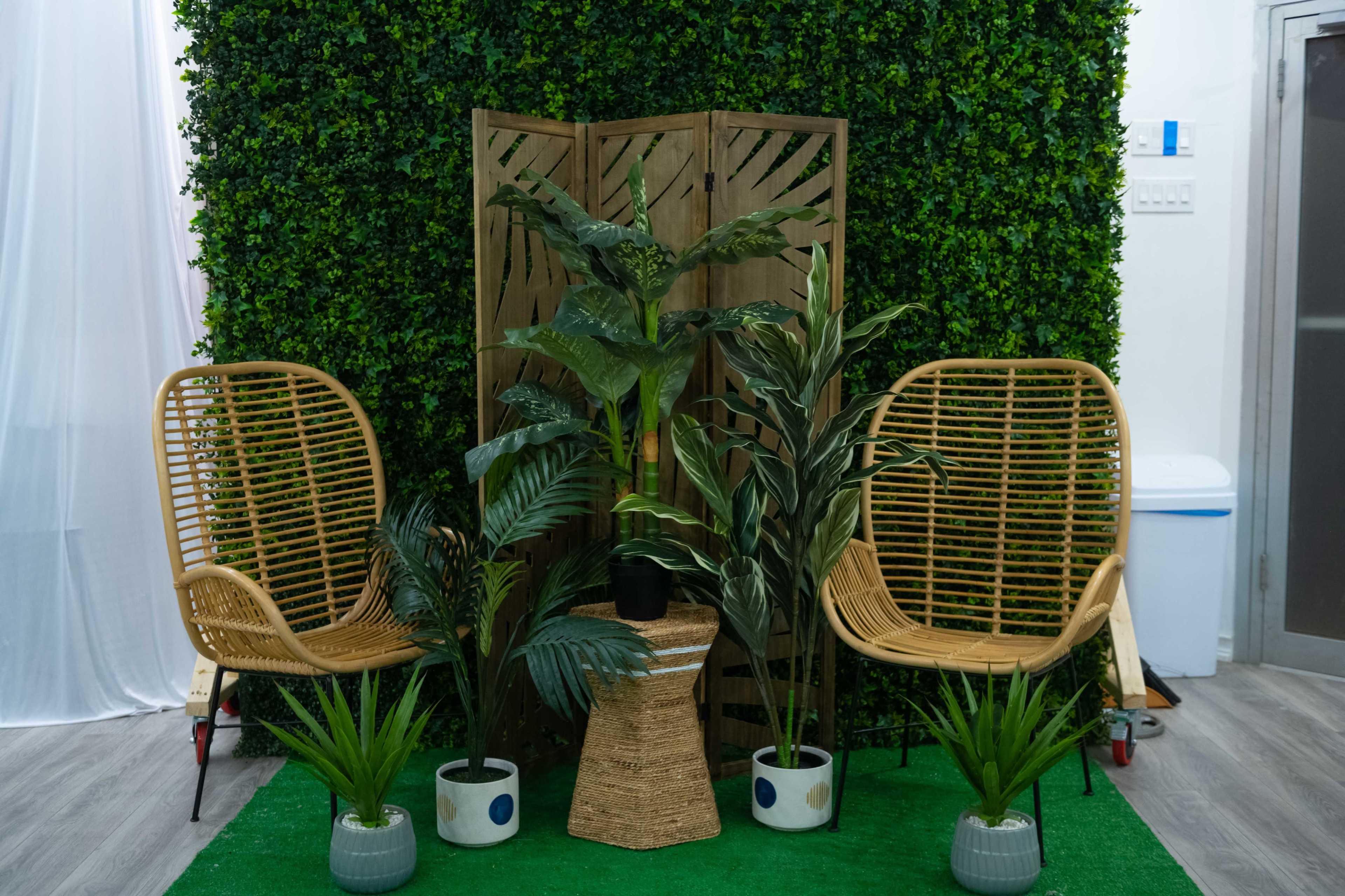Two rattan chairs on either side of a small woven table, surrounded by potted plants and a wooden folding screen against a green wall.