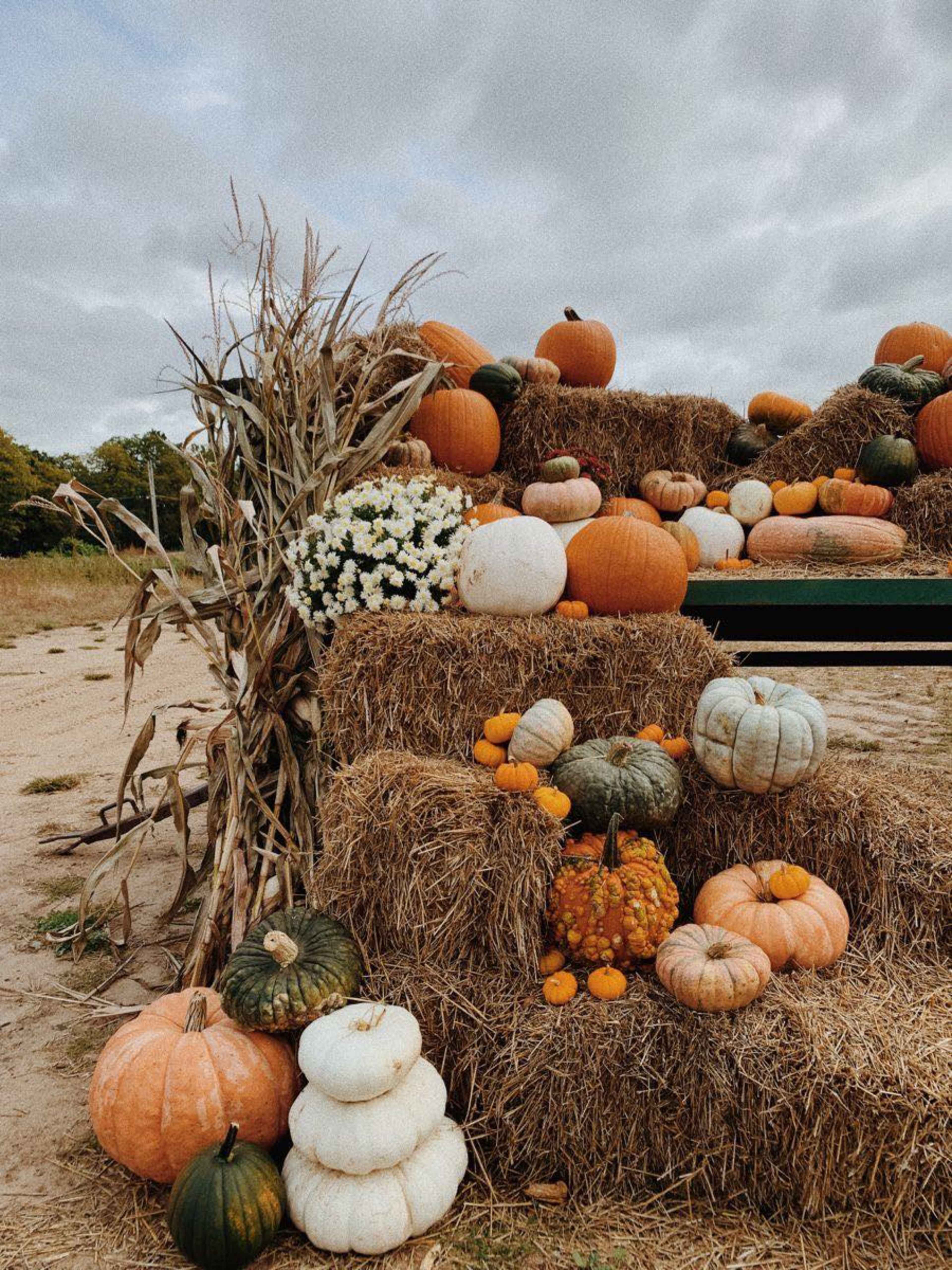 A stack of hay bales is adorned with various pumpkins and gourds, along with a cluster of white flowers.