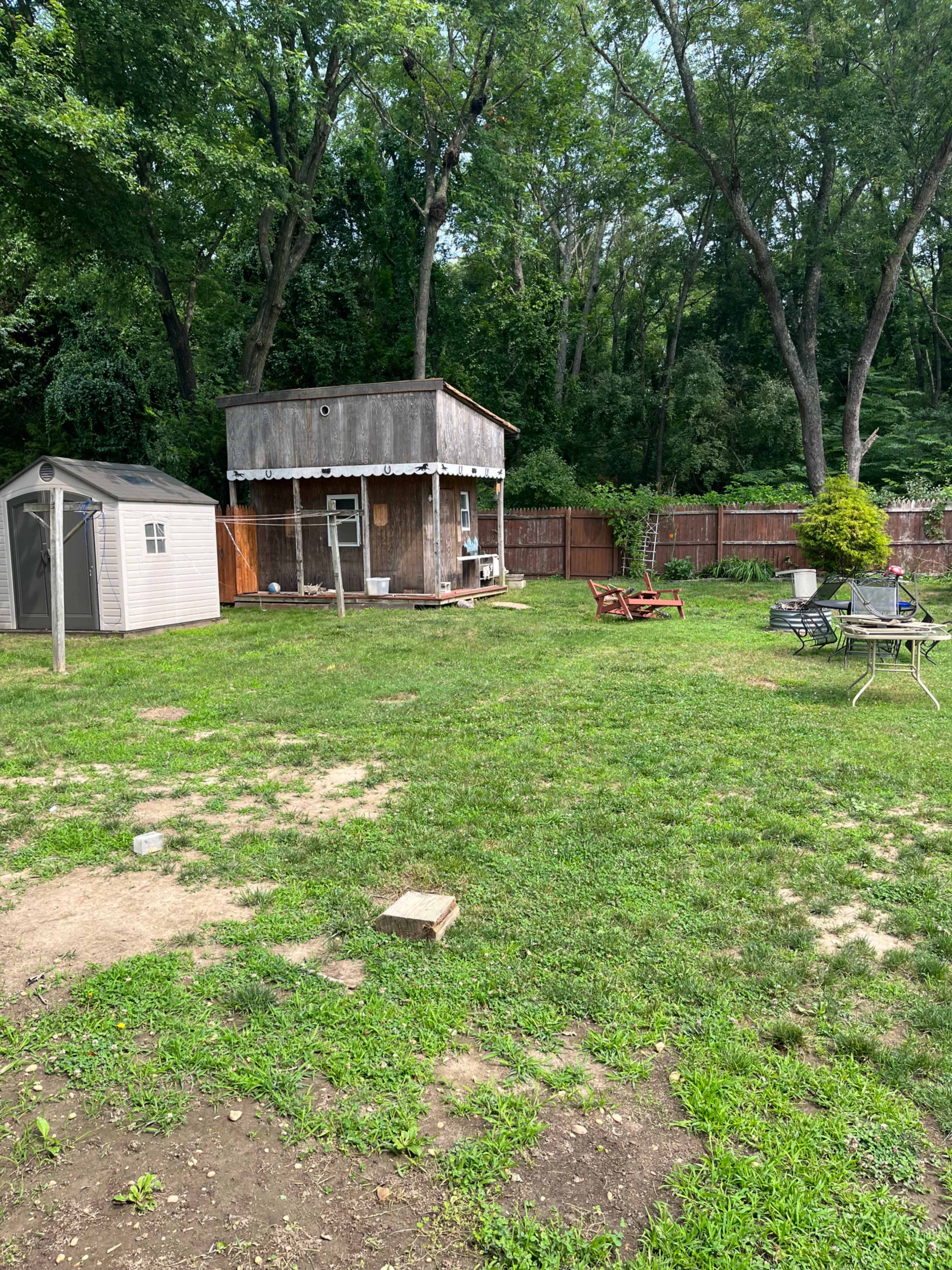 A grassy yard with a wooden structure and a shed, surrounded by trees and a wooden fence.