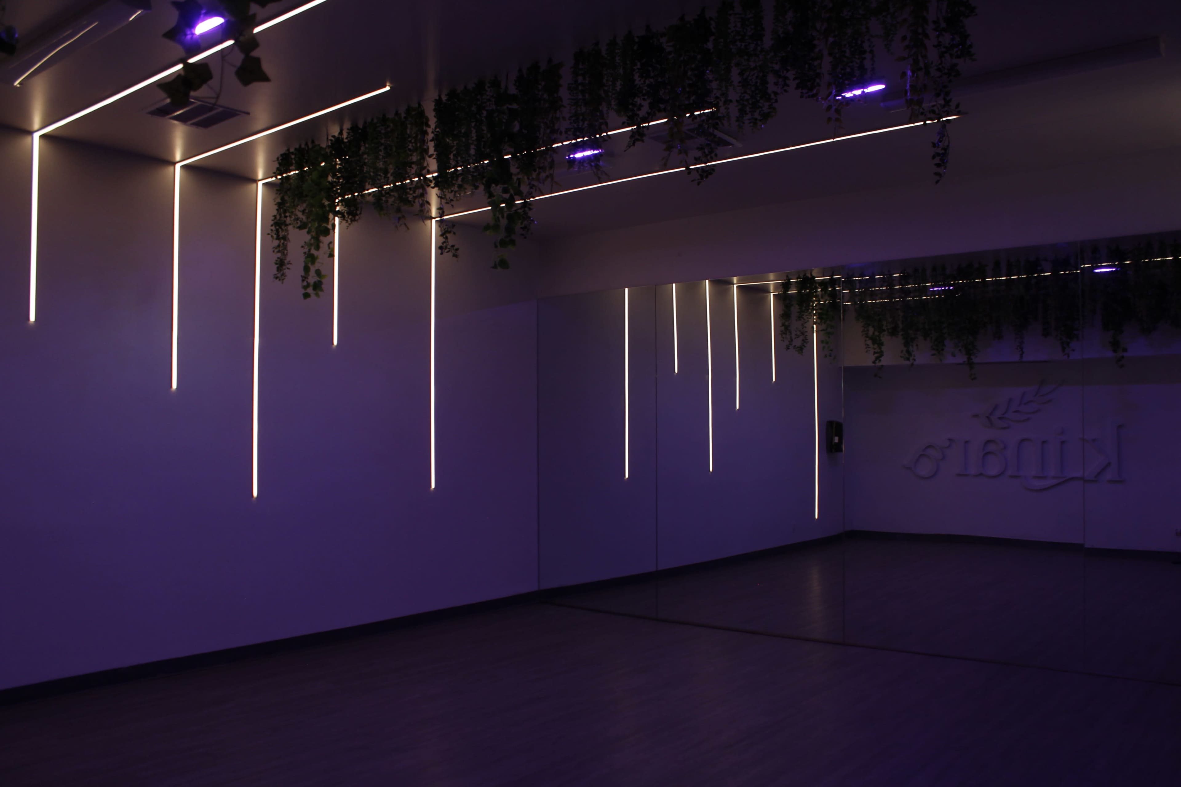 A modern room with vertical LED lights, mirror walls, and hanging plants.