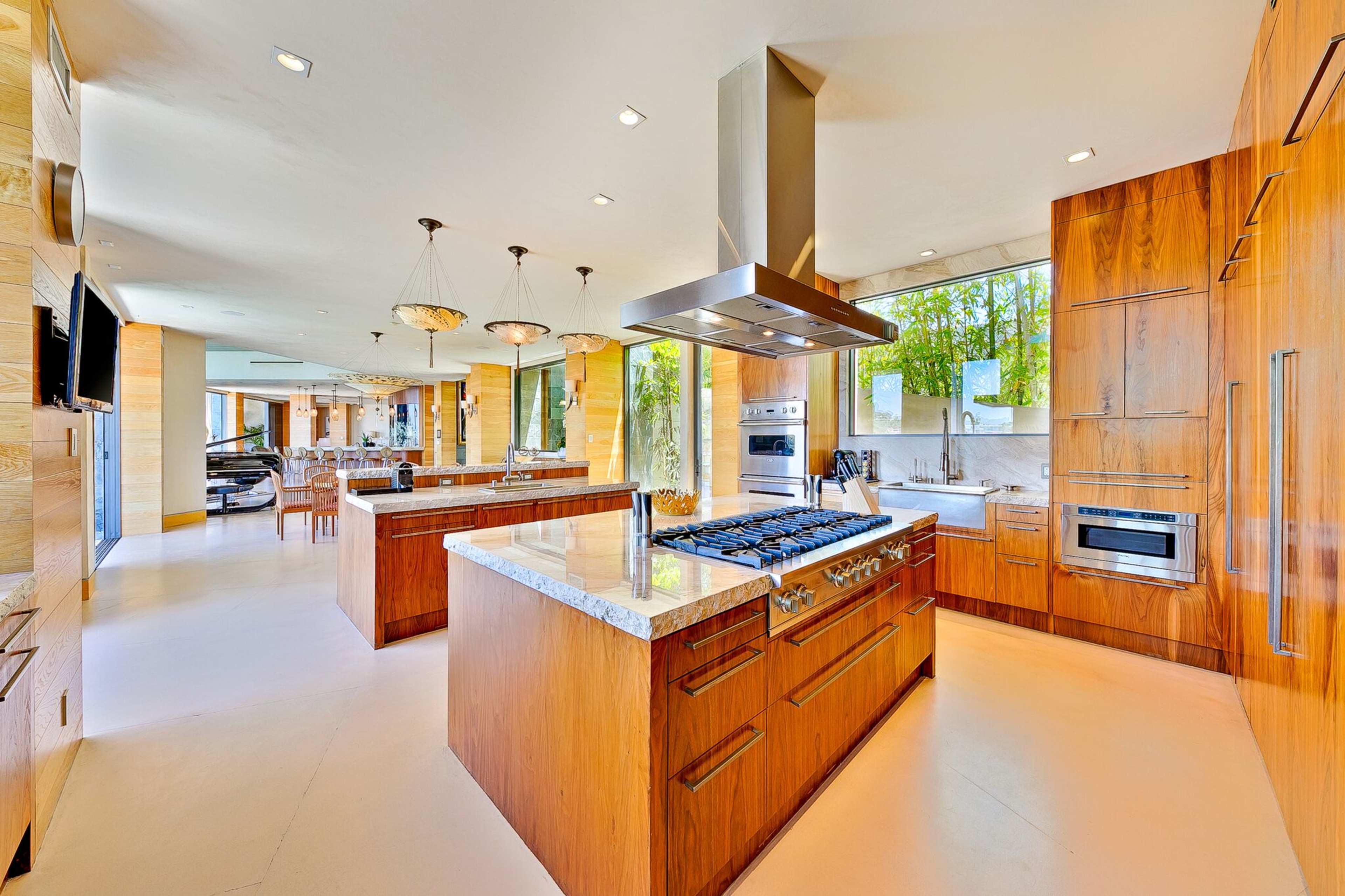 Birds Streets View Image in Central LA, Los angeles, CA