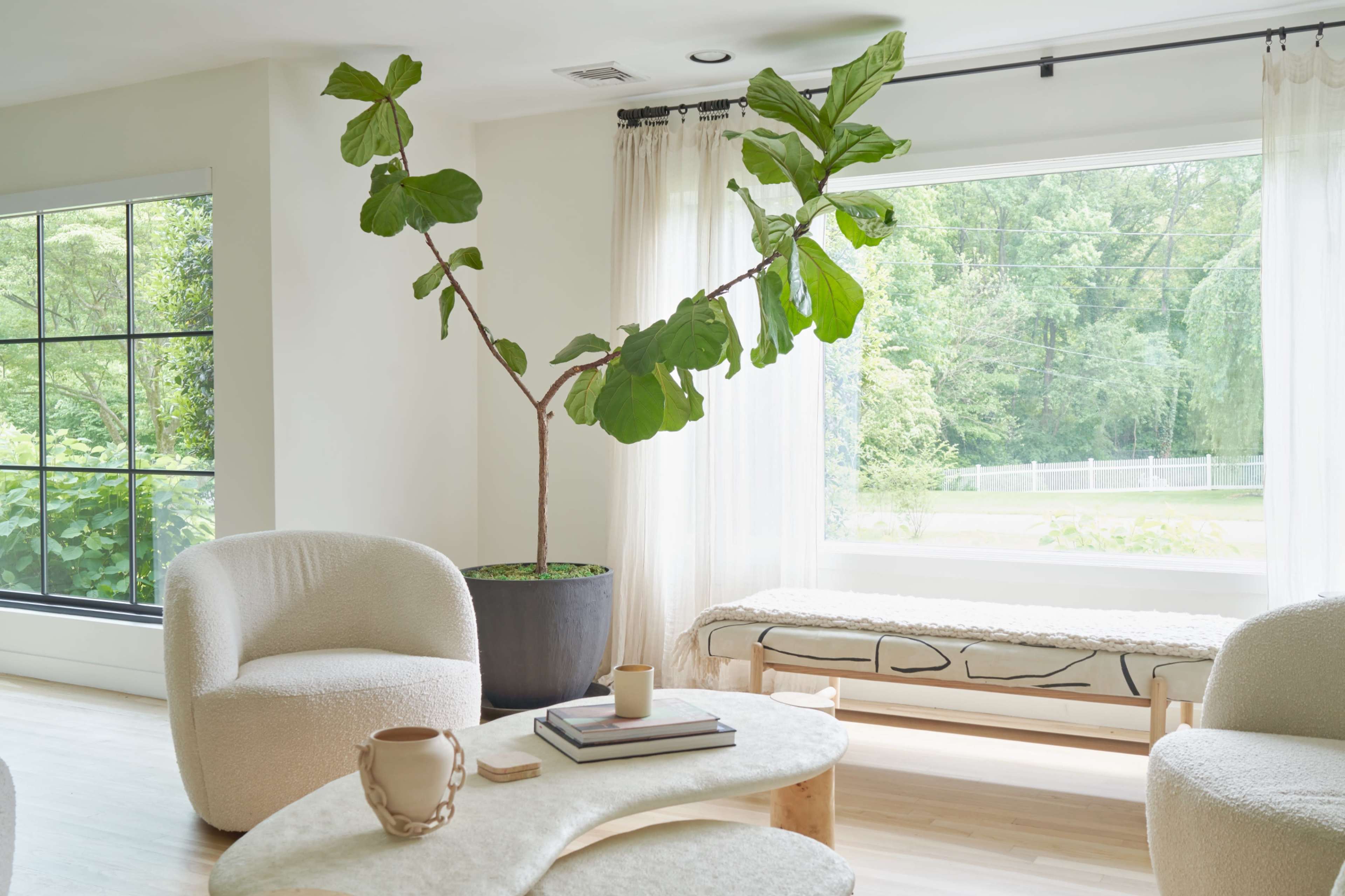A modern living room features a large window with a view of greenery, a curved sofa, a round coffee table, and a potted plant with a distinctive branch shape.