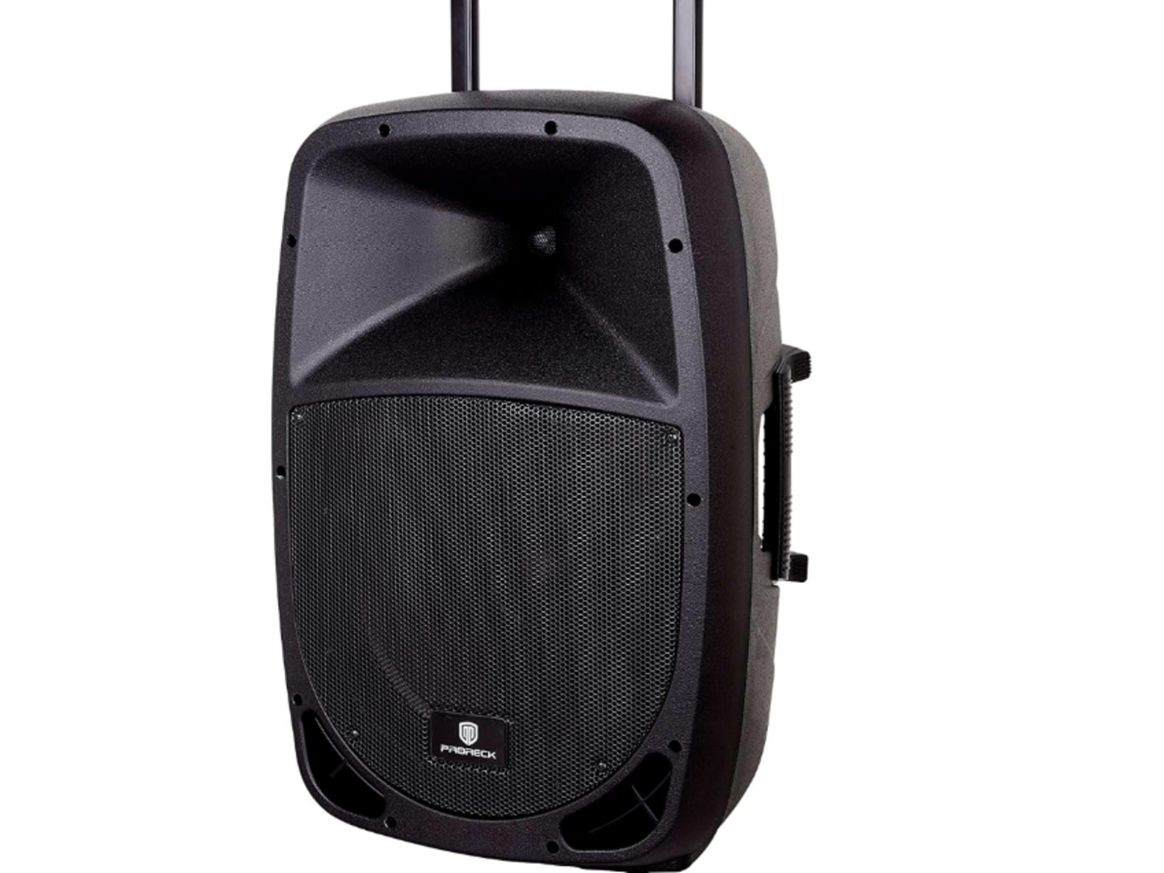 Portable speaker w/build in amp 