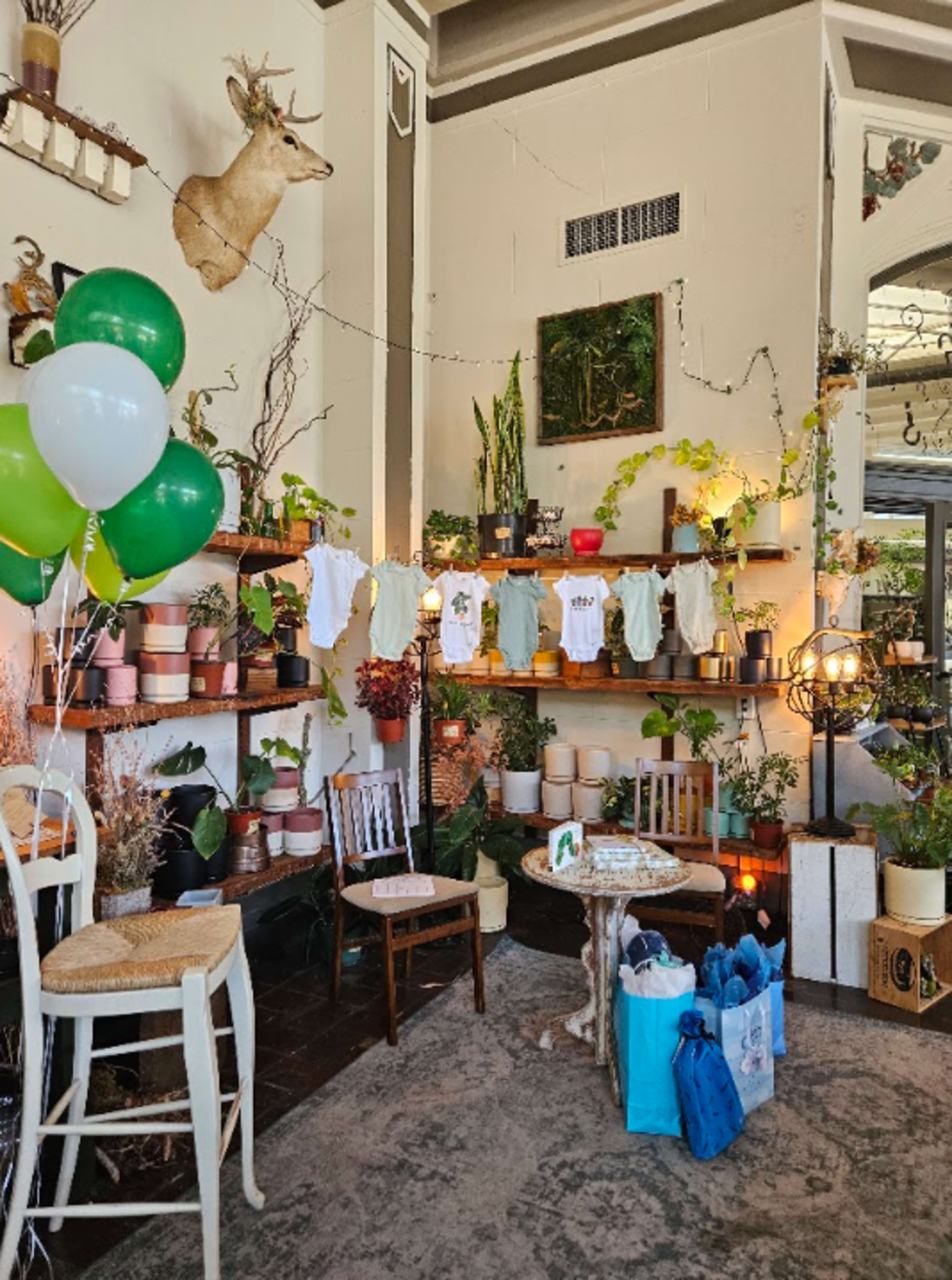 The image shows a decorated indoor space featuring shelves of potted plants, baby clothes hanging on display, and balloons, creating a cozy atmosphere.