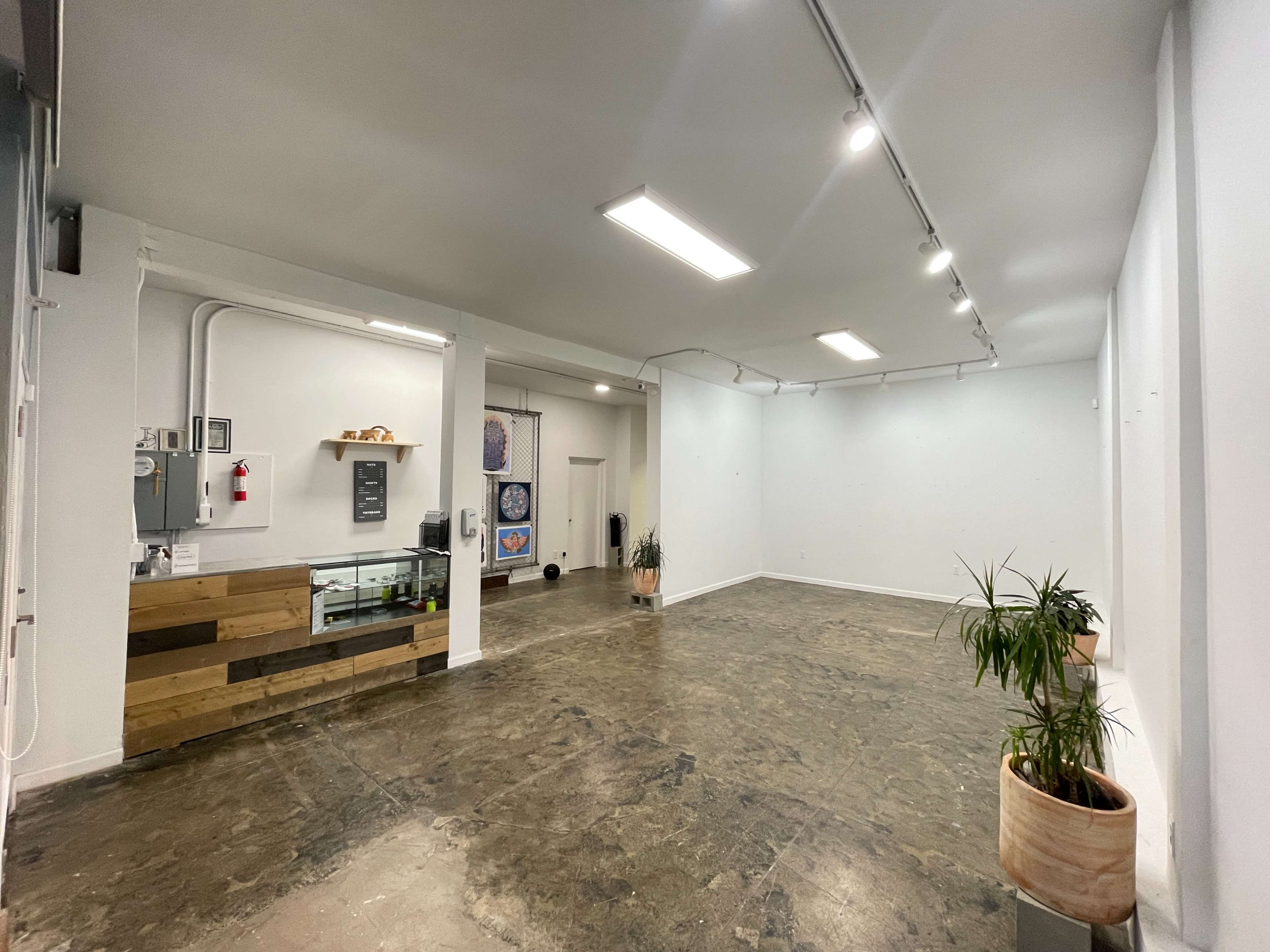 An empty, well-lit interior space with polished concrete floors, a service counter made of wooden planks, and potted plants positioned around the area.
