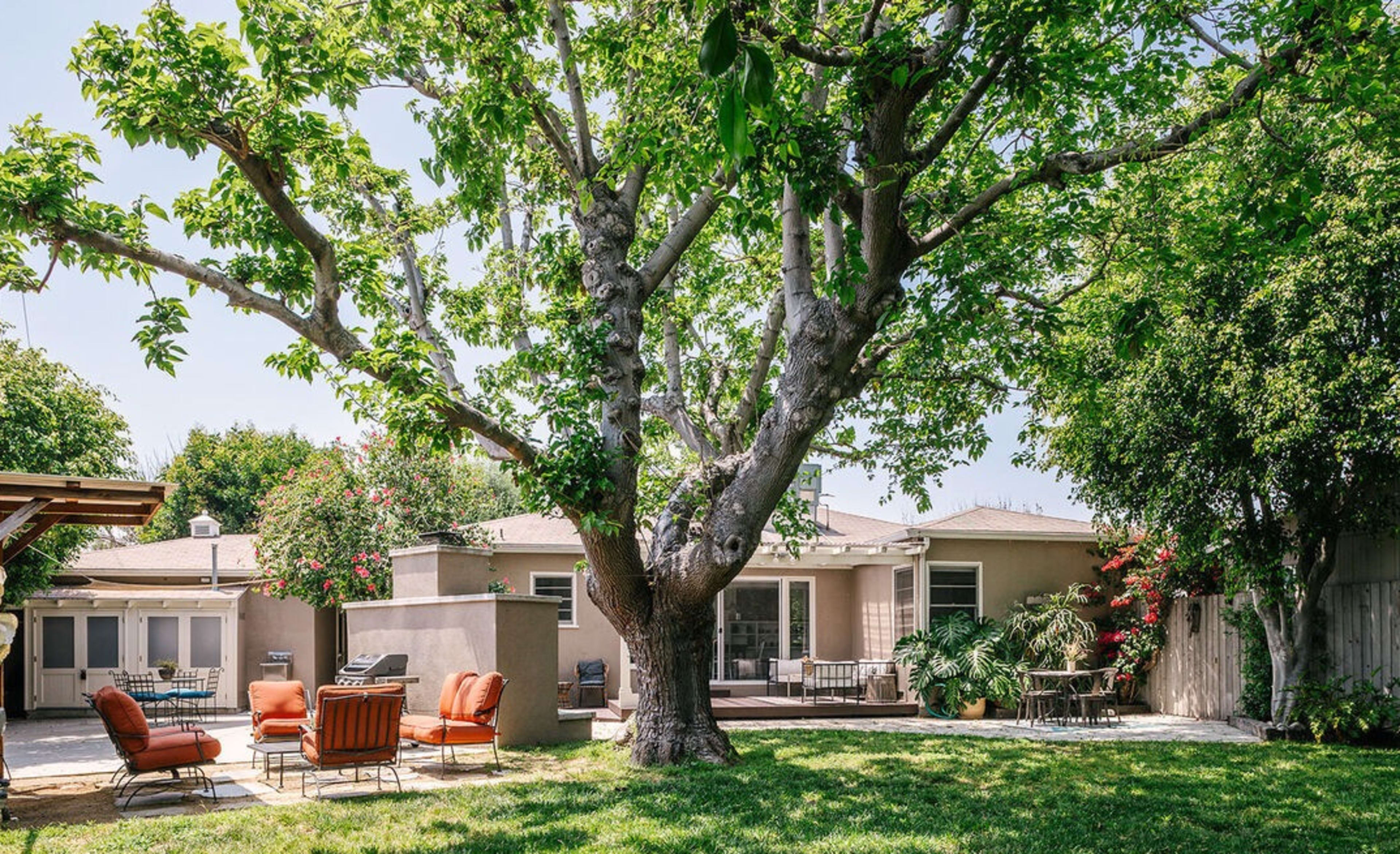 A large tree shades a seating area with orange chairs, positioned in the backyard of a house surrounded by greenery.