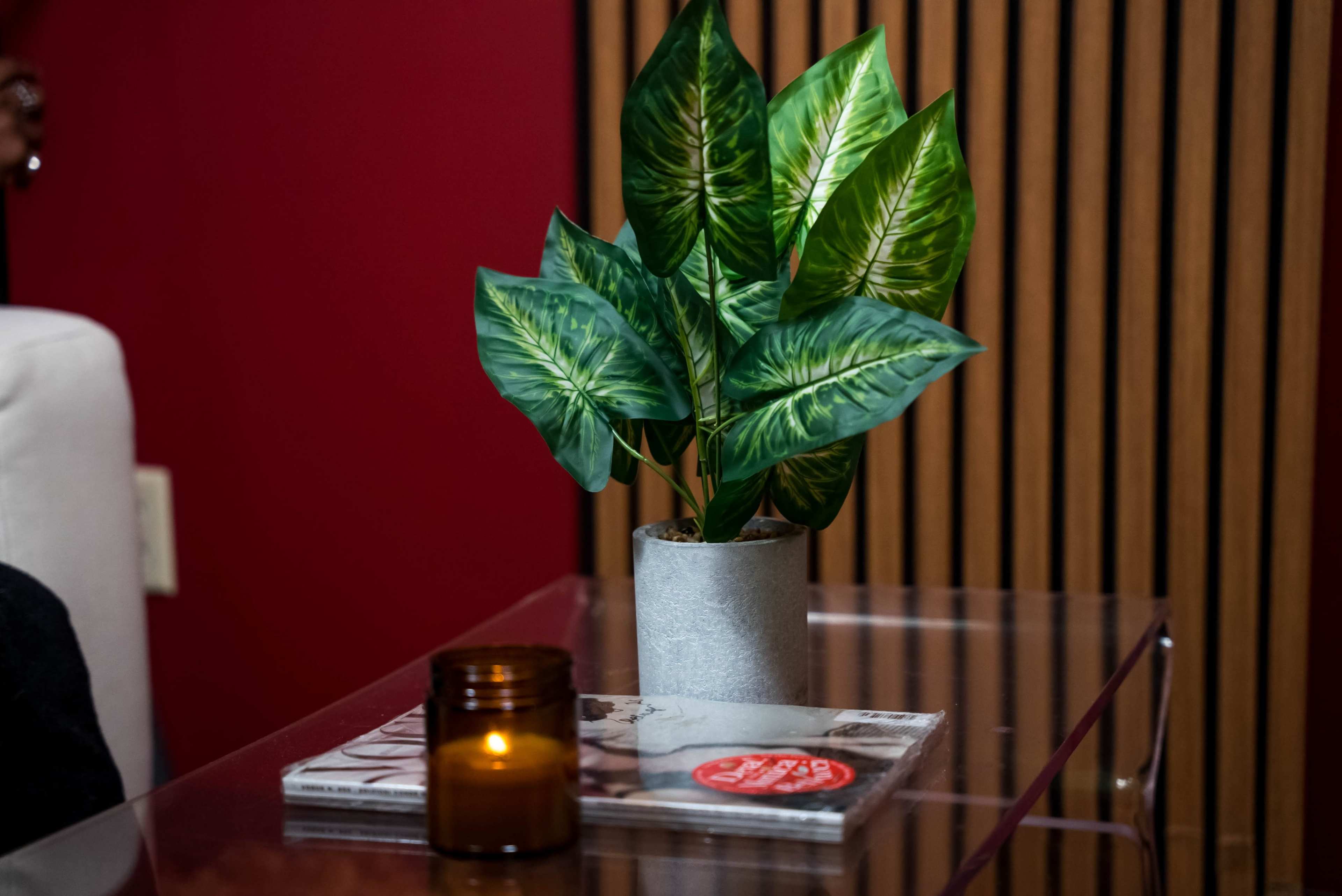 A potted plant with large green leaves stands next to a lit candle on a glass table.