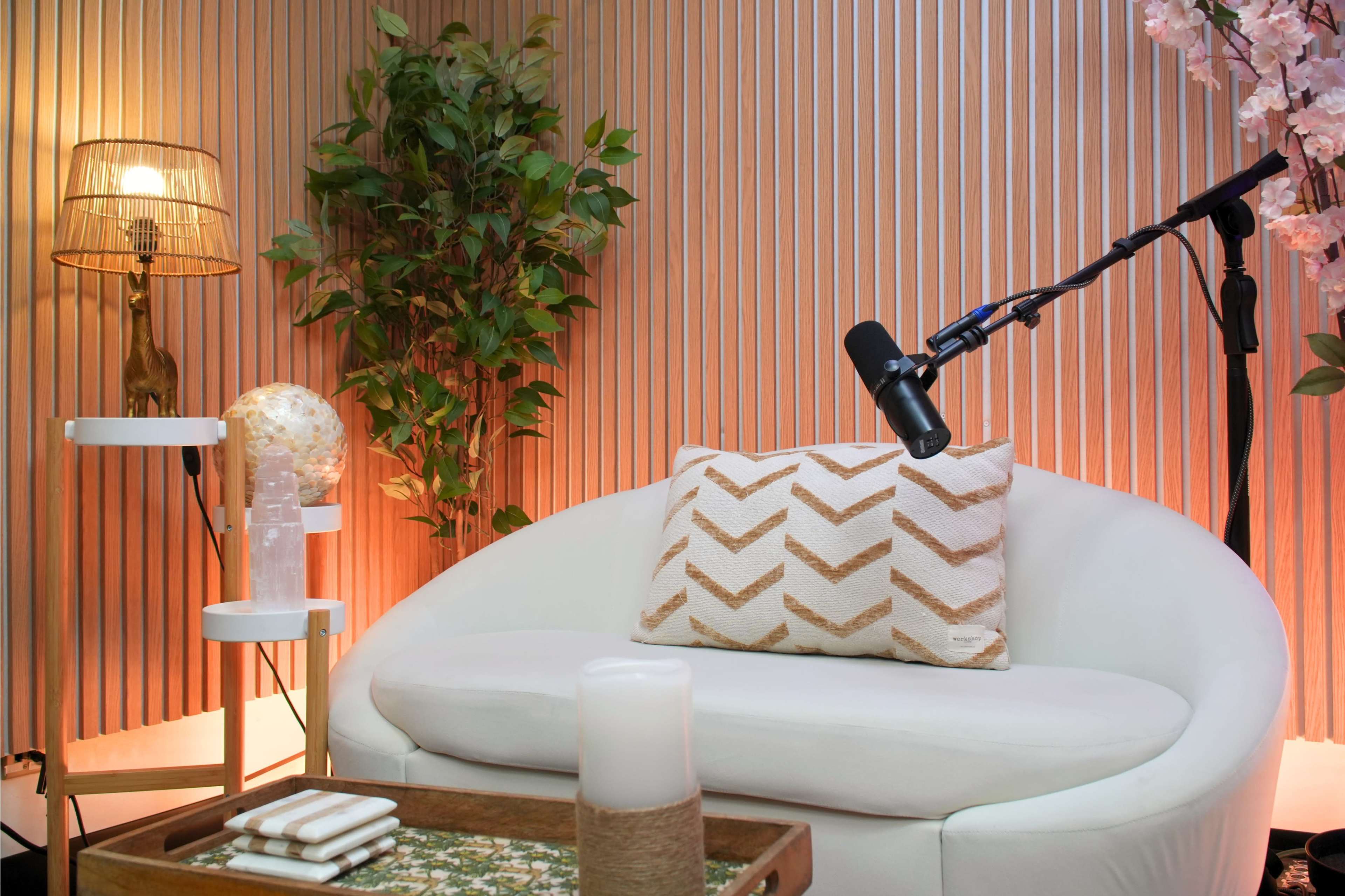 Zen-Inspired Podcast Studio with Customizable Lighting Image in Costa Mesa, Costa Mesa, CA