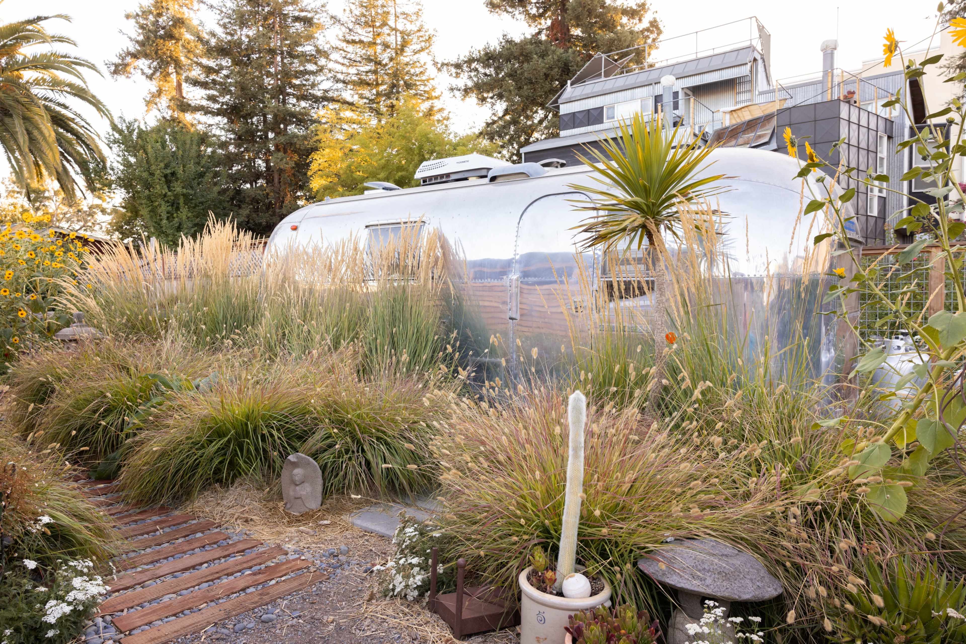 A shiny silver Airstream trailer is surrounded by tall ornamental grasses and various plants in a landscaped garden.