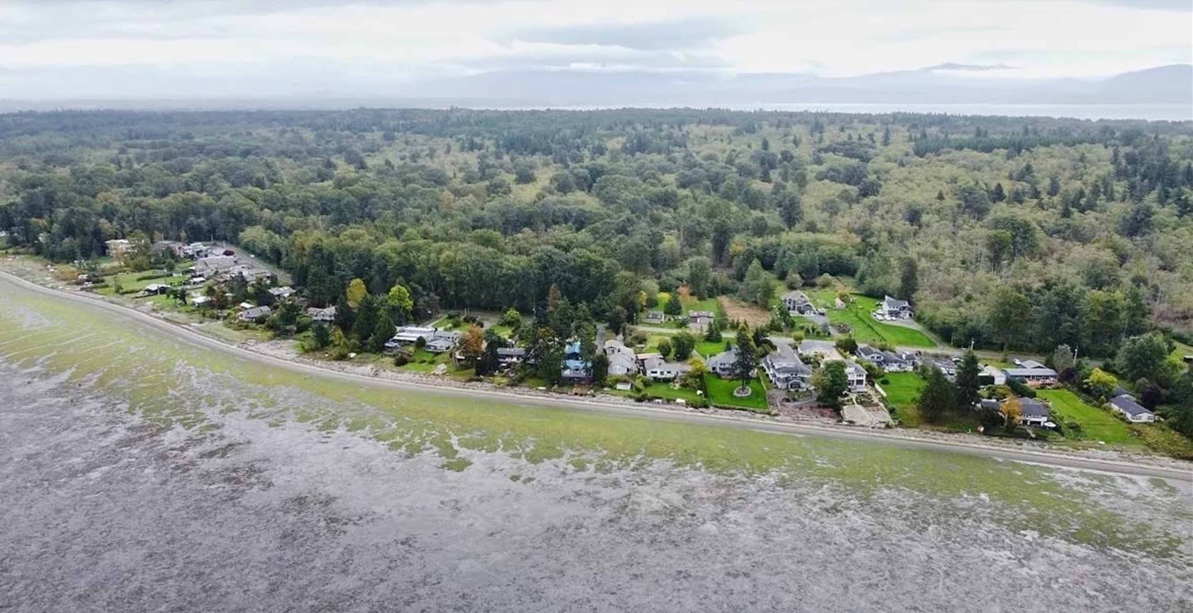 A coastal area with a line of houses along the shore, bordered by a densely forested landscape and a low tide revealing a sandy beach.