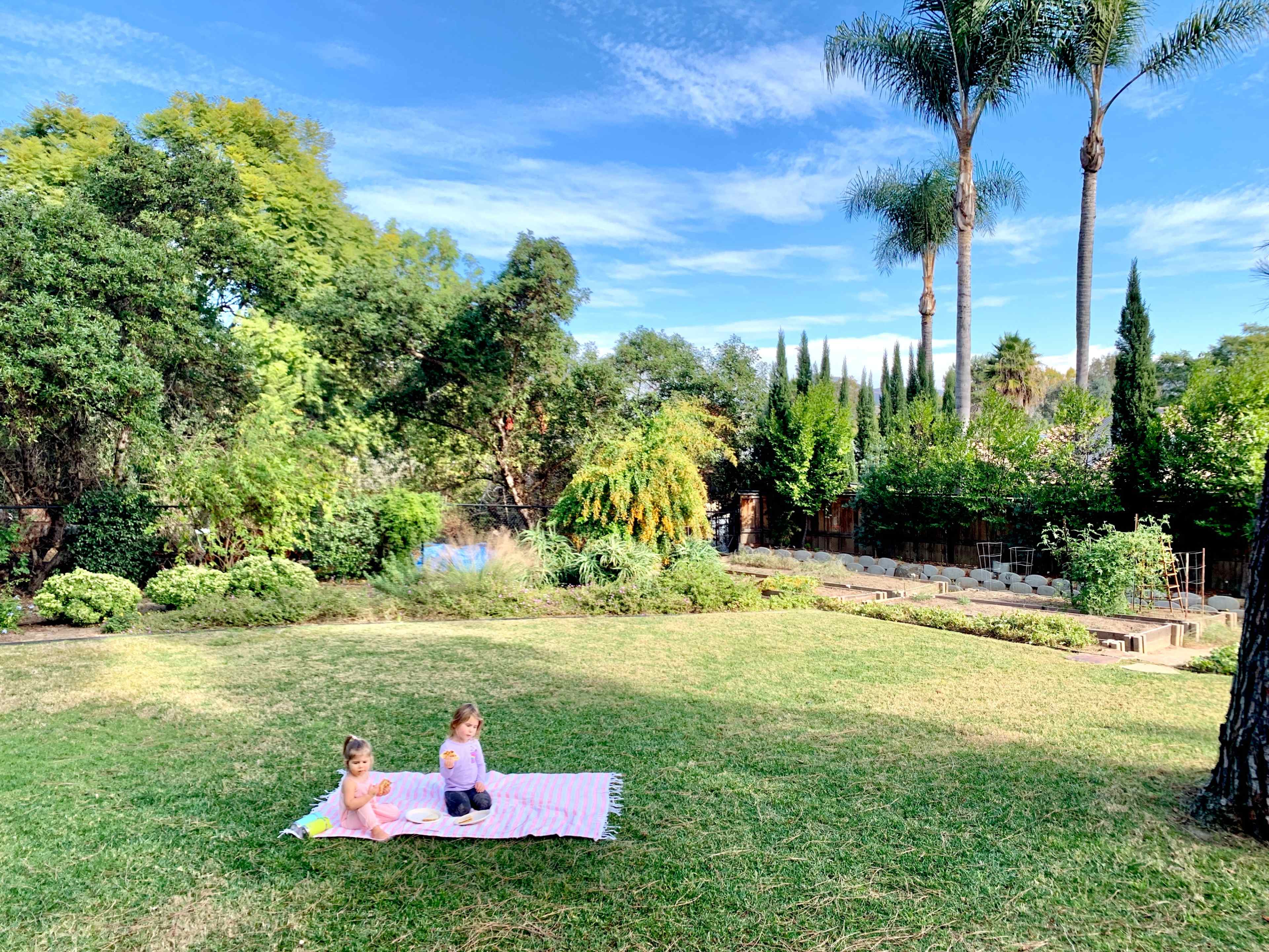 Two children sit on a pink blanket in a grassy backyard surrounded by trees and palm plants.