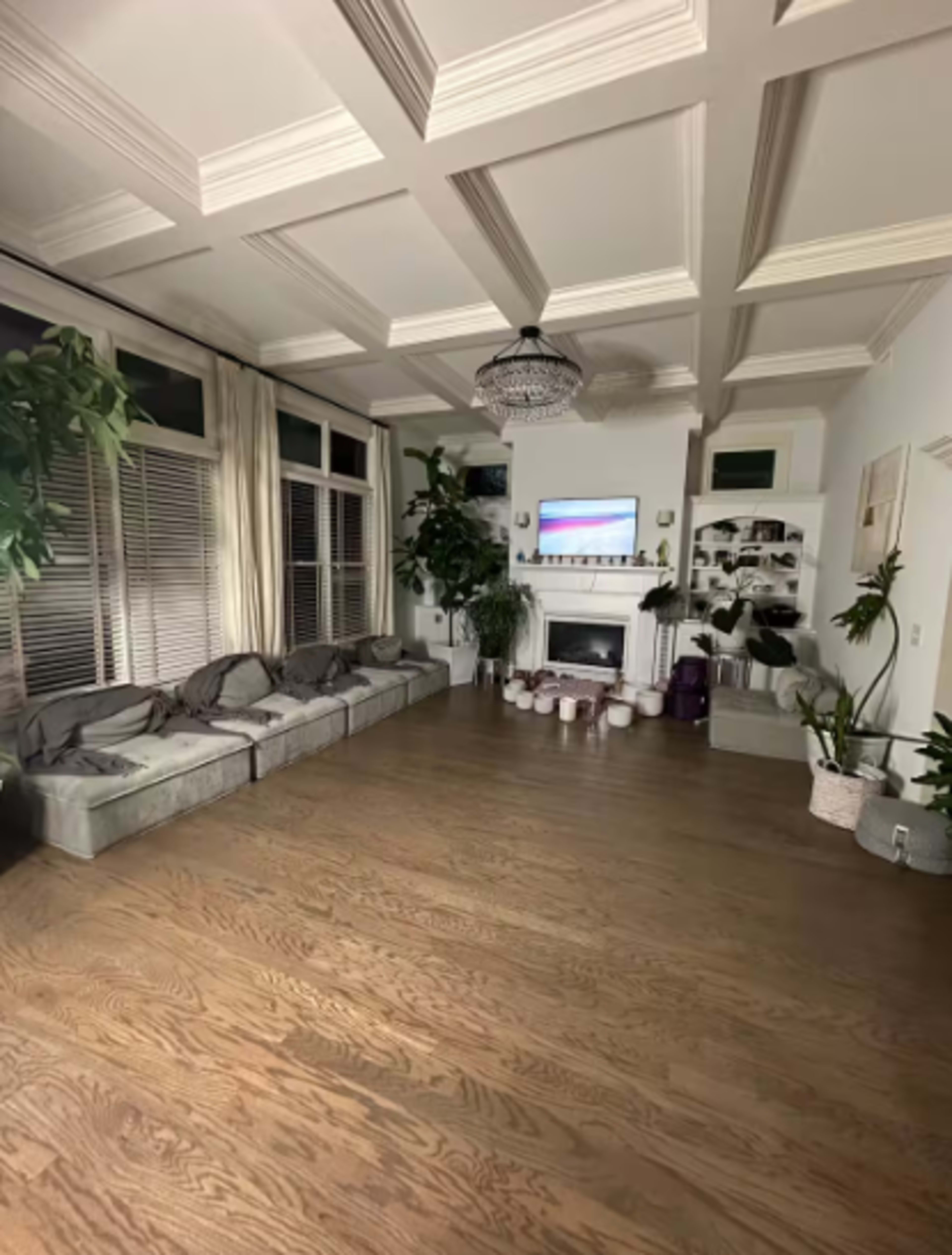 Sacred Space Biohacking Mansion in the Peaceful Georgia Suburbs Image in Johns Creek, Alpharetta, GA