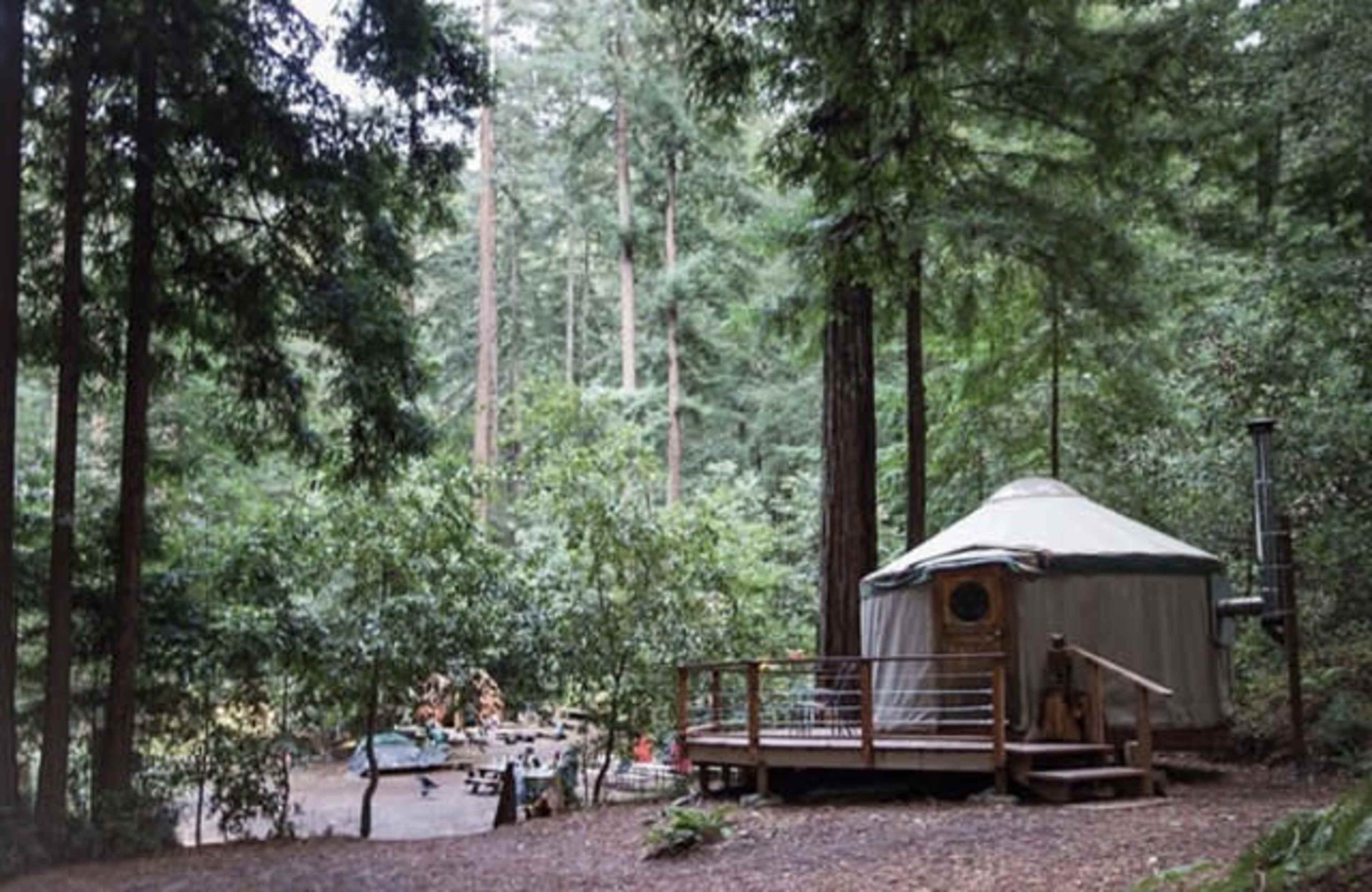 A yurt stands on a wooden deck surrounded by tall trees in a forested area.
