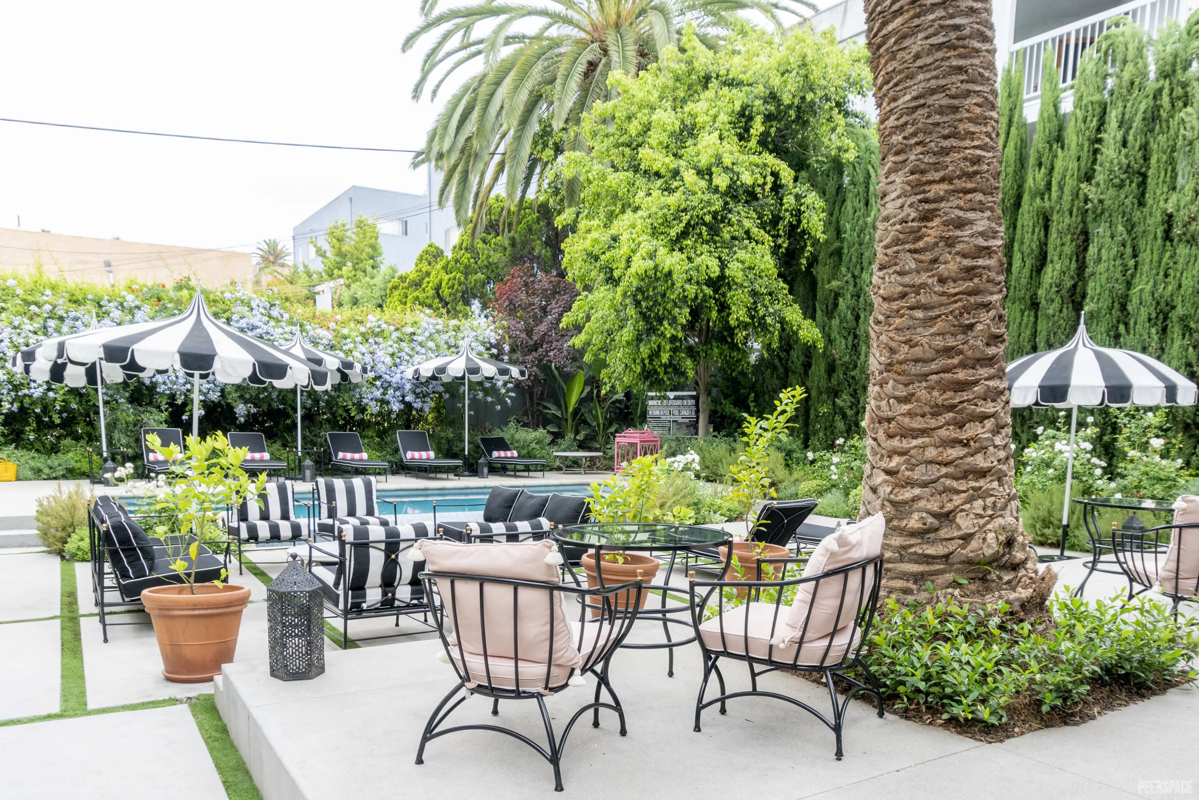 The image shows a landscaped outdoor seating area with black-and-white striped umbrellas, tropical plants, and a swimming pool in the background.