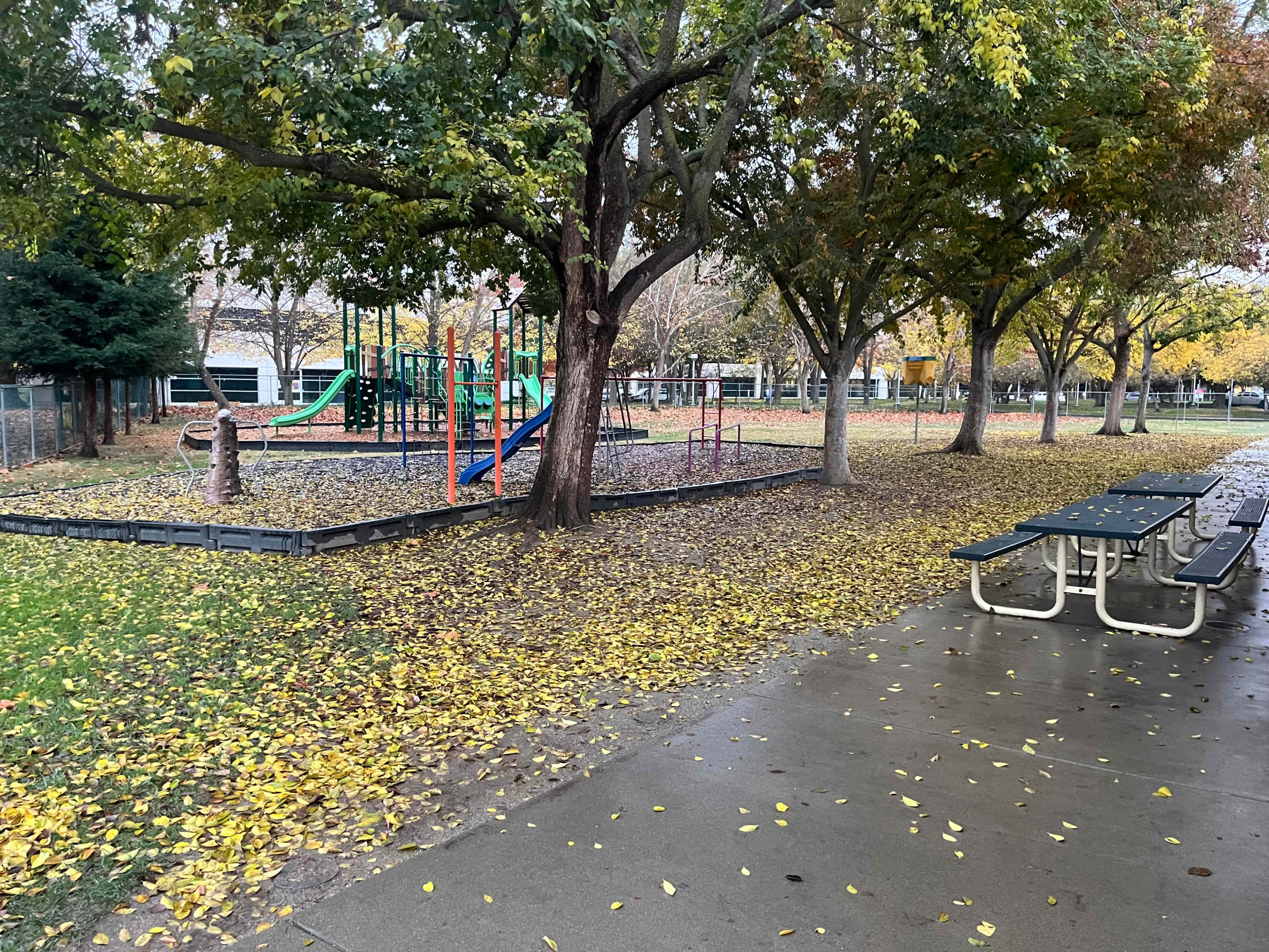 A playground with a slide and climbing structure sits next to a paved pathway covered with fallen leaves, surrounded by trees.