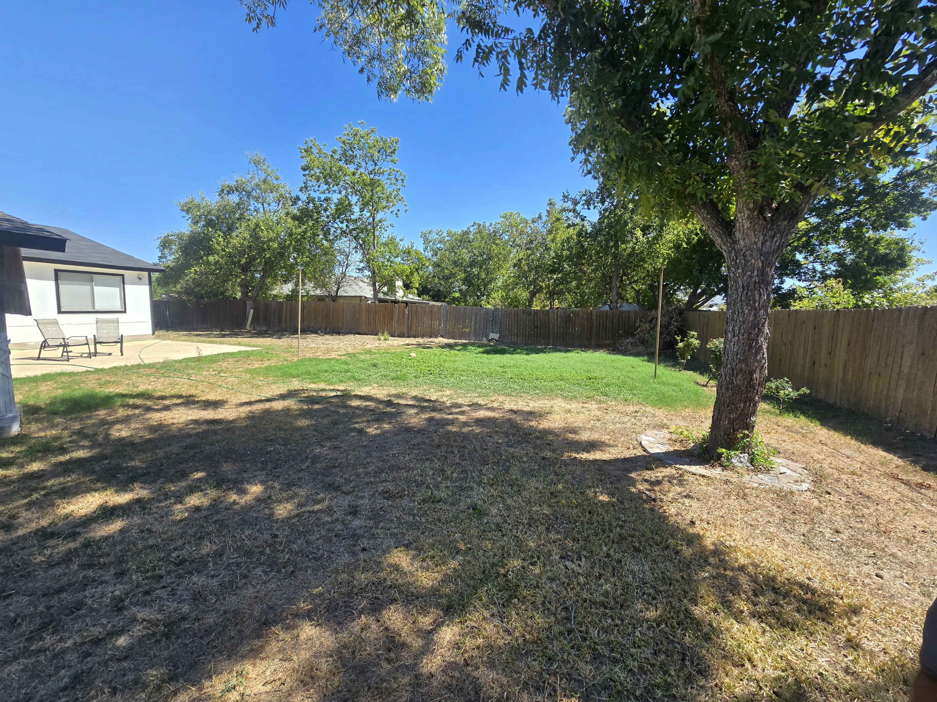 A spacious backyard features green grass, a tree, and a wooden fence under a clear blue sky.